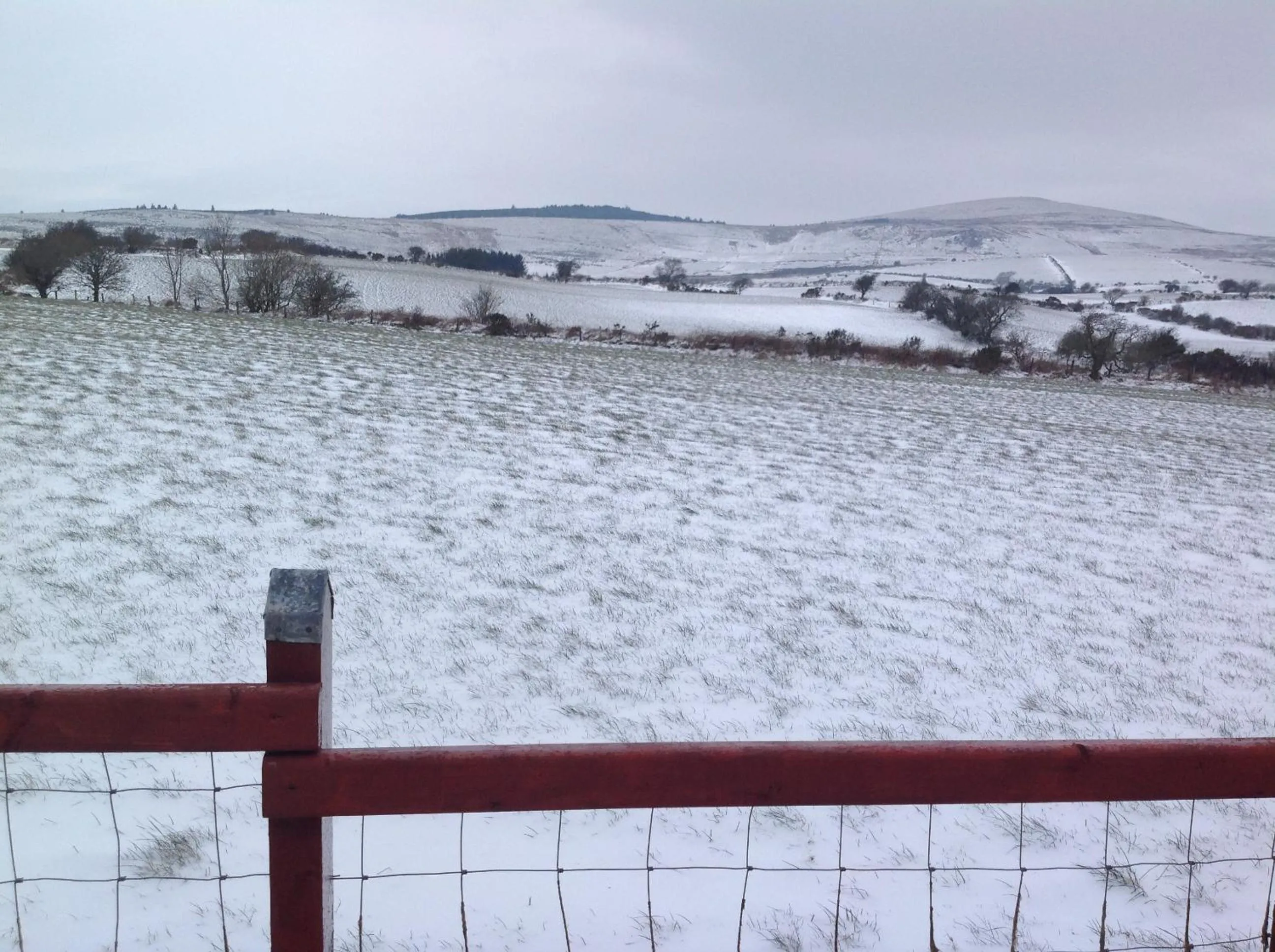 Brynhaul Bed and Breakfast