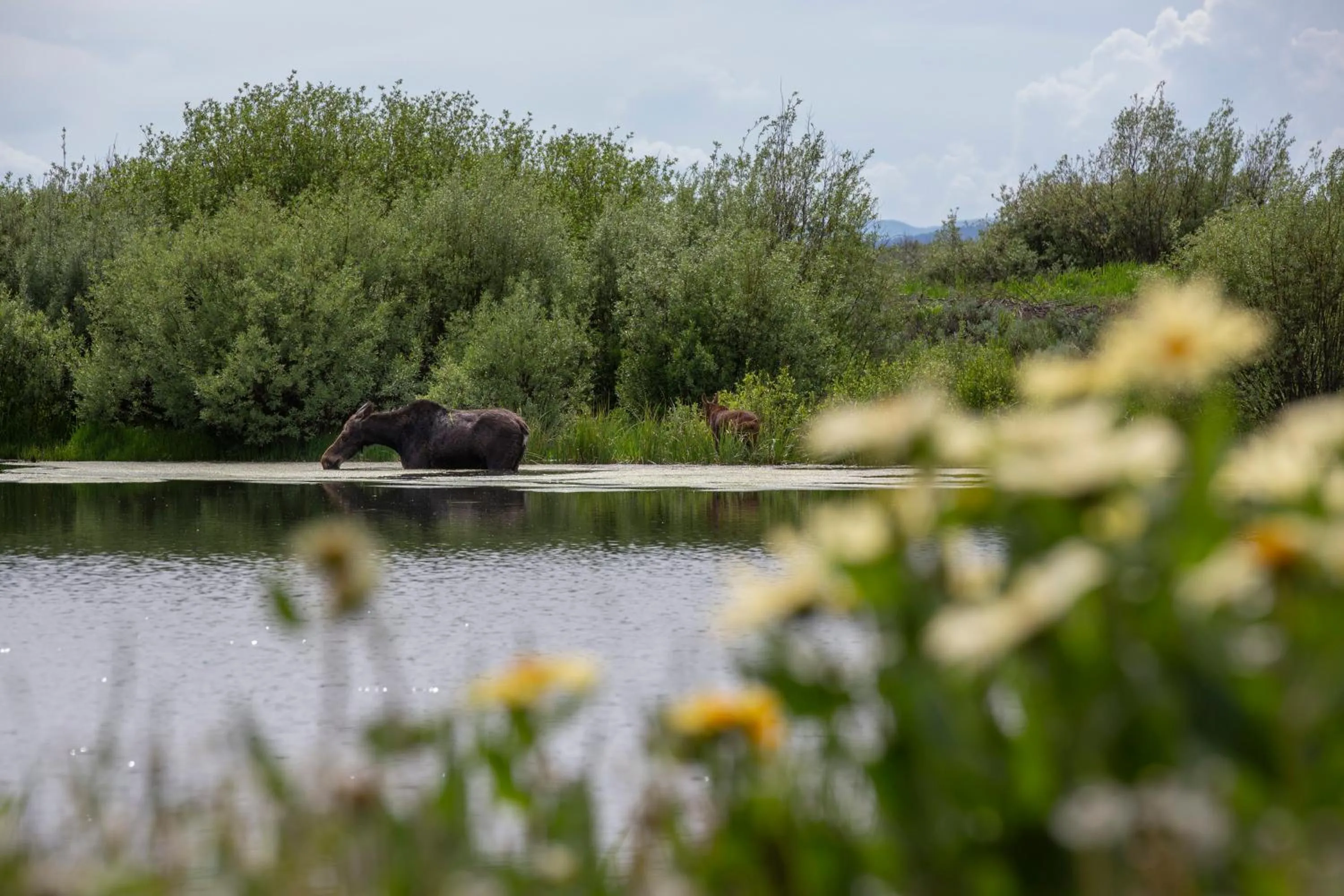 Liberty Lodge by KABINO Hot Tub Air Hockey 3 Living Rooms 7 bedrooms Boat Launch Reservoir ATV Snowmobile Trails WiFi