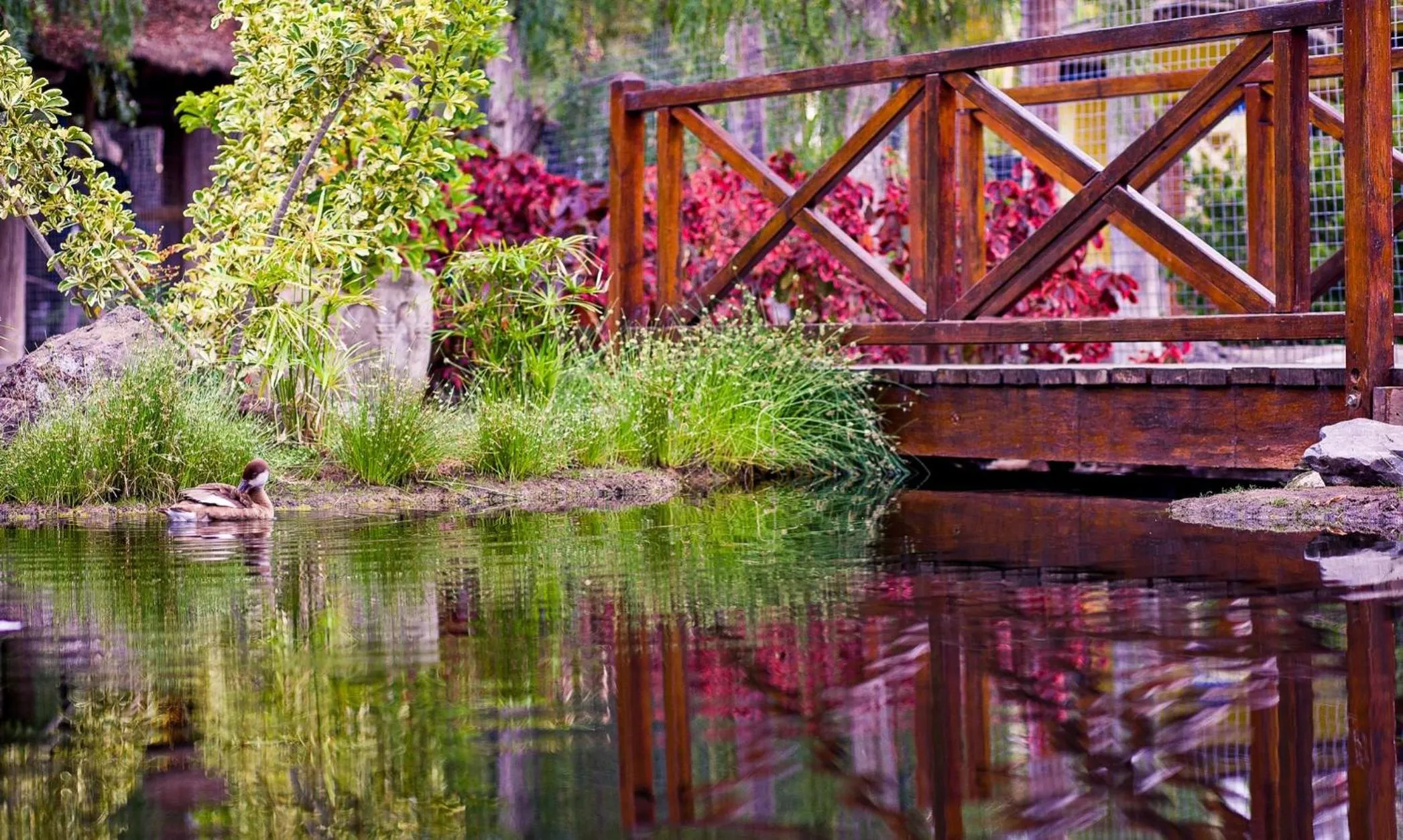 Lake view in Park Club Europe - All Inclusive Resort