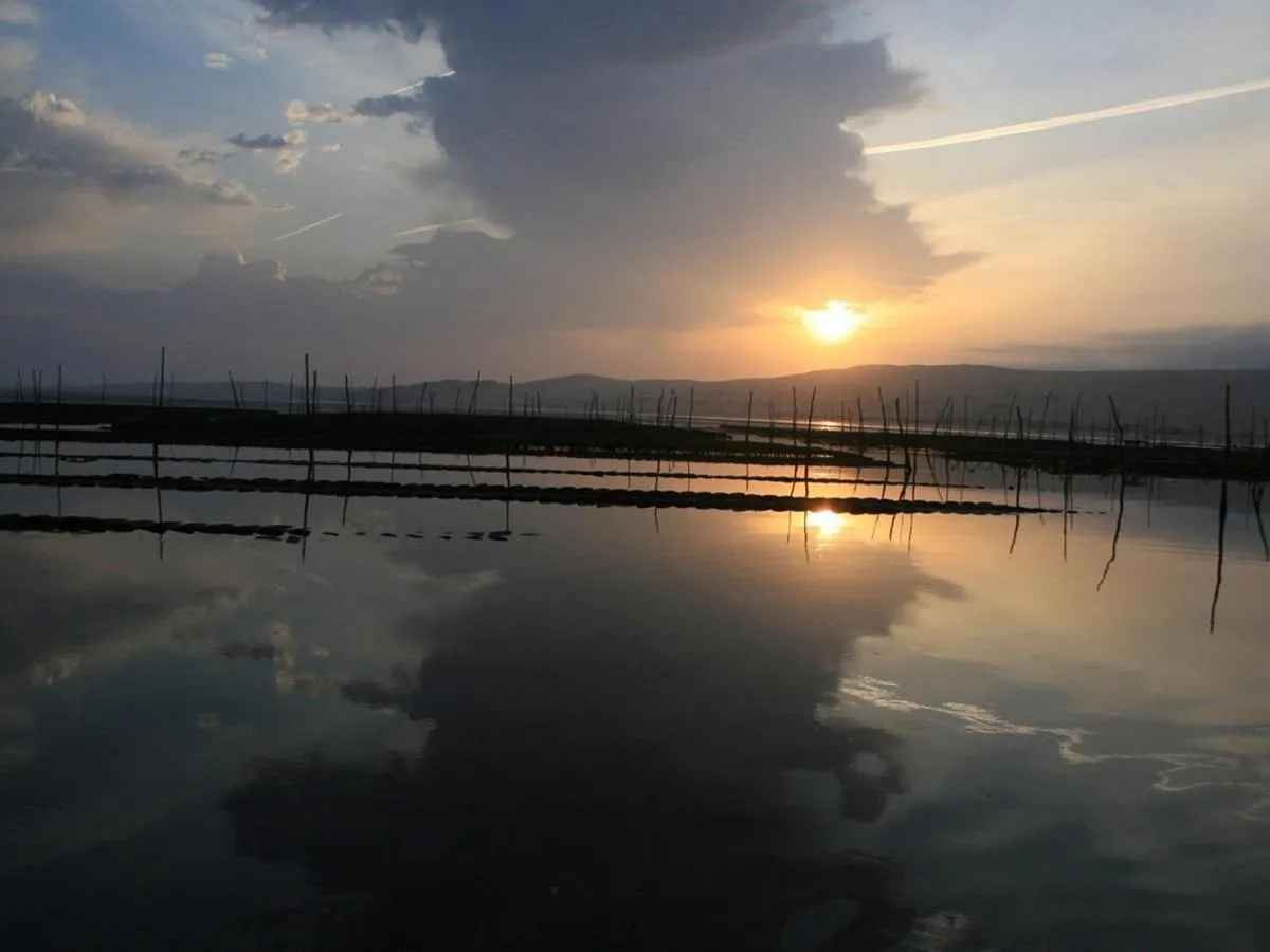 Beach in Les Flots Bleus