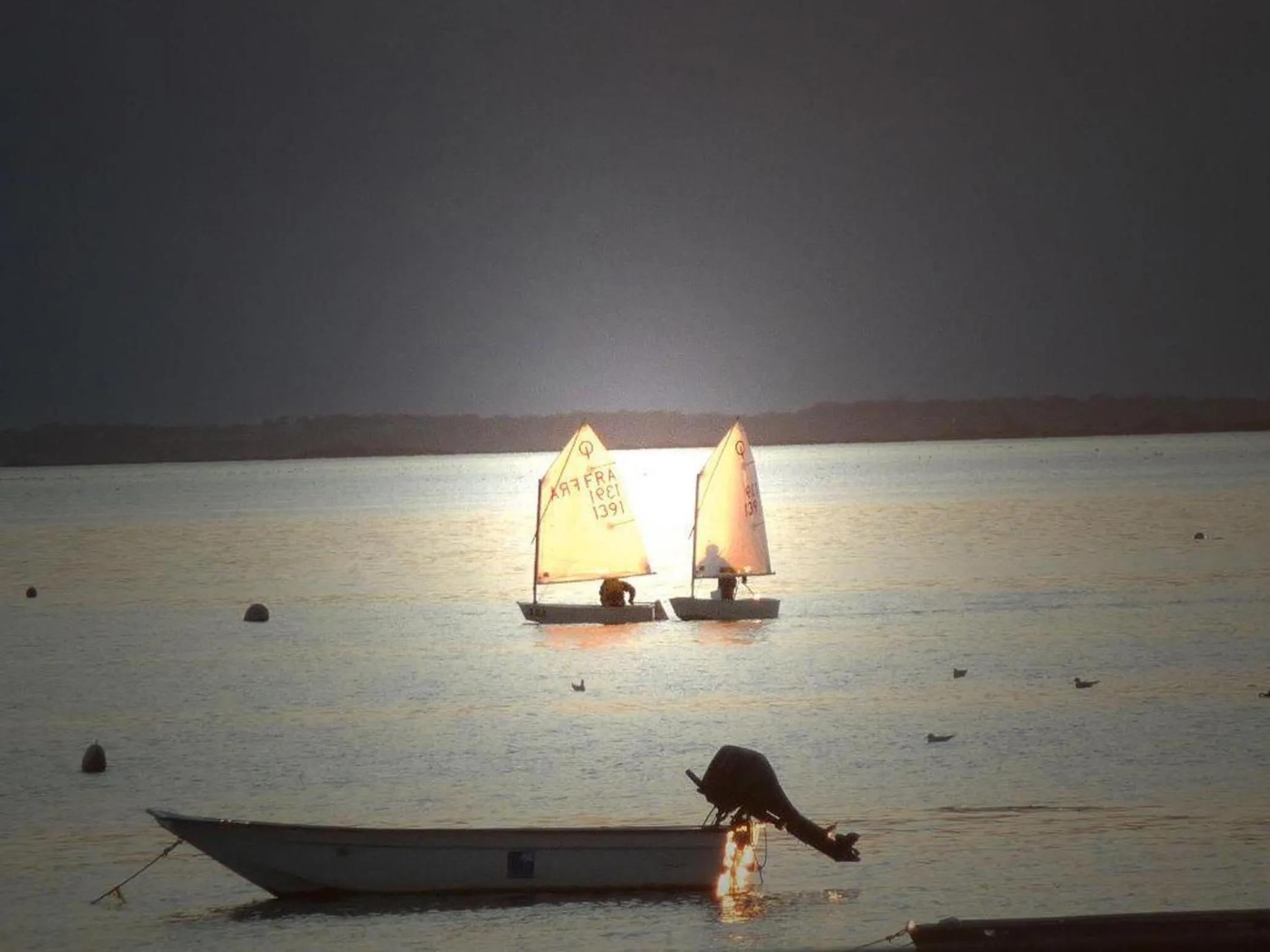 Beach in Les Flots Bleus