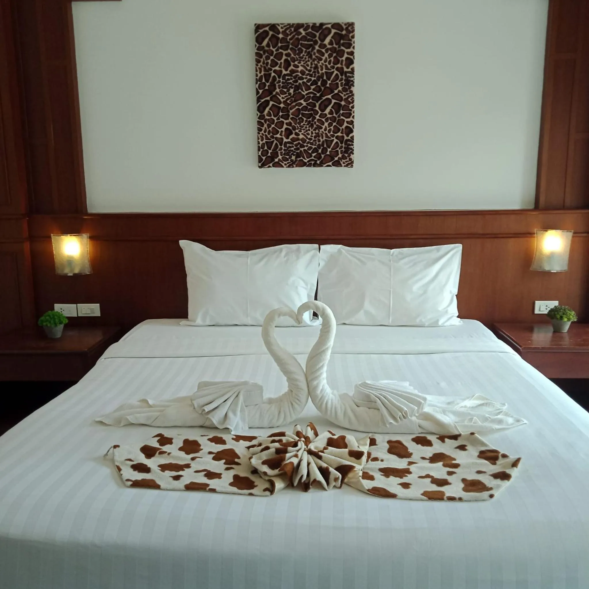 Photo of the whole room in New Forest Patong