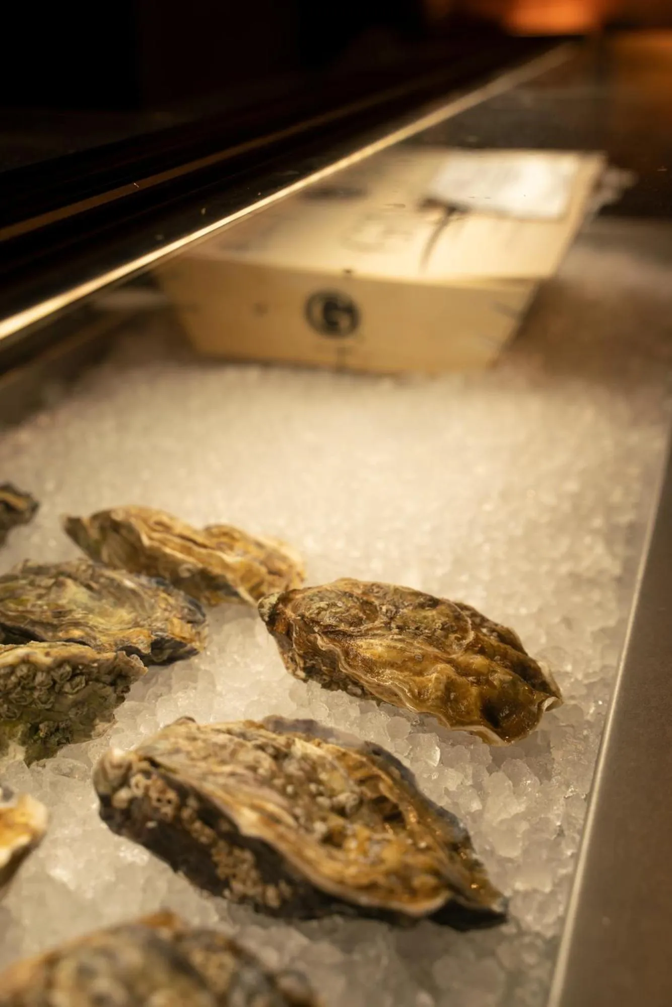 Restaurant/places to eat in Bilder Boutique Hotel