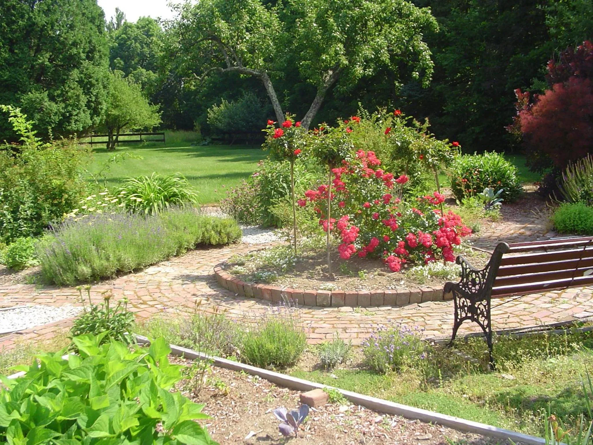 Garden in Stephen Clay Homestead Bed and Breakfast