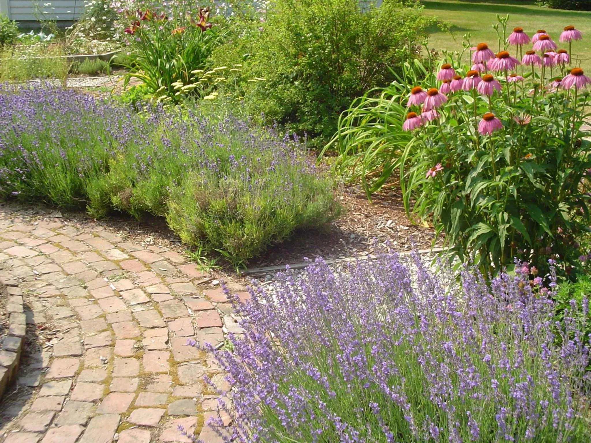 Garden in Stephen Clay Homestead Bed and Breakfast