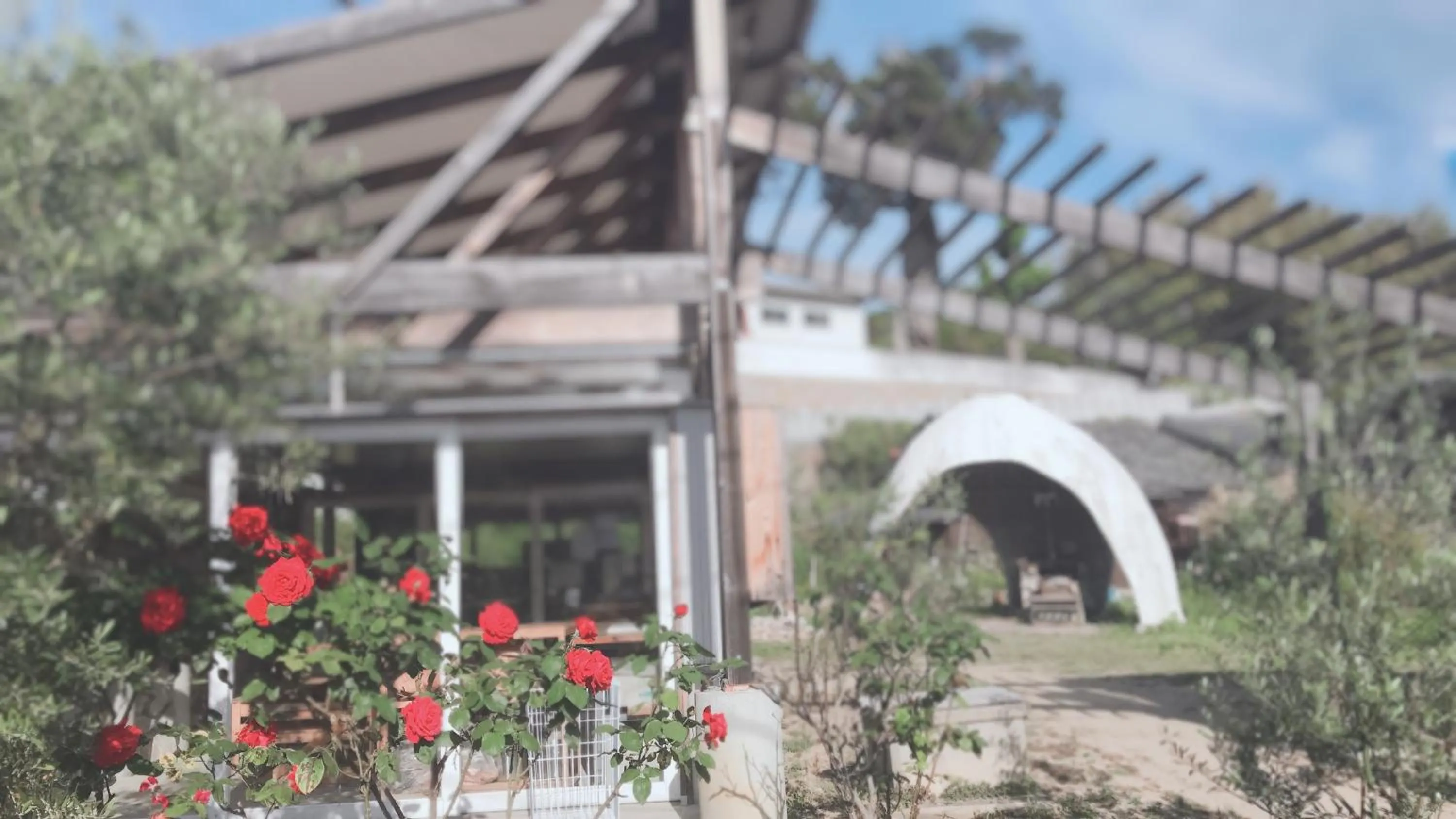 Off site in Bay Resort Hotel Shodoshima