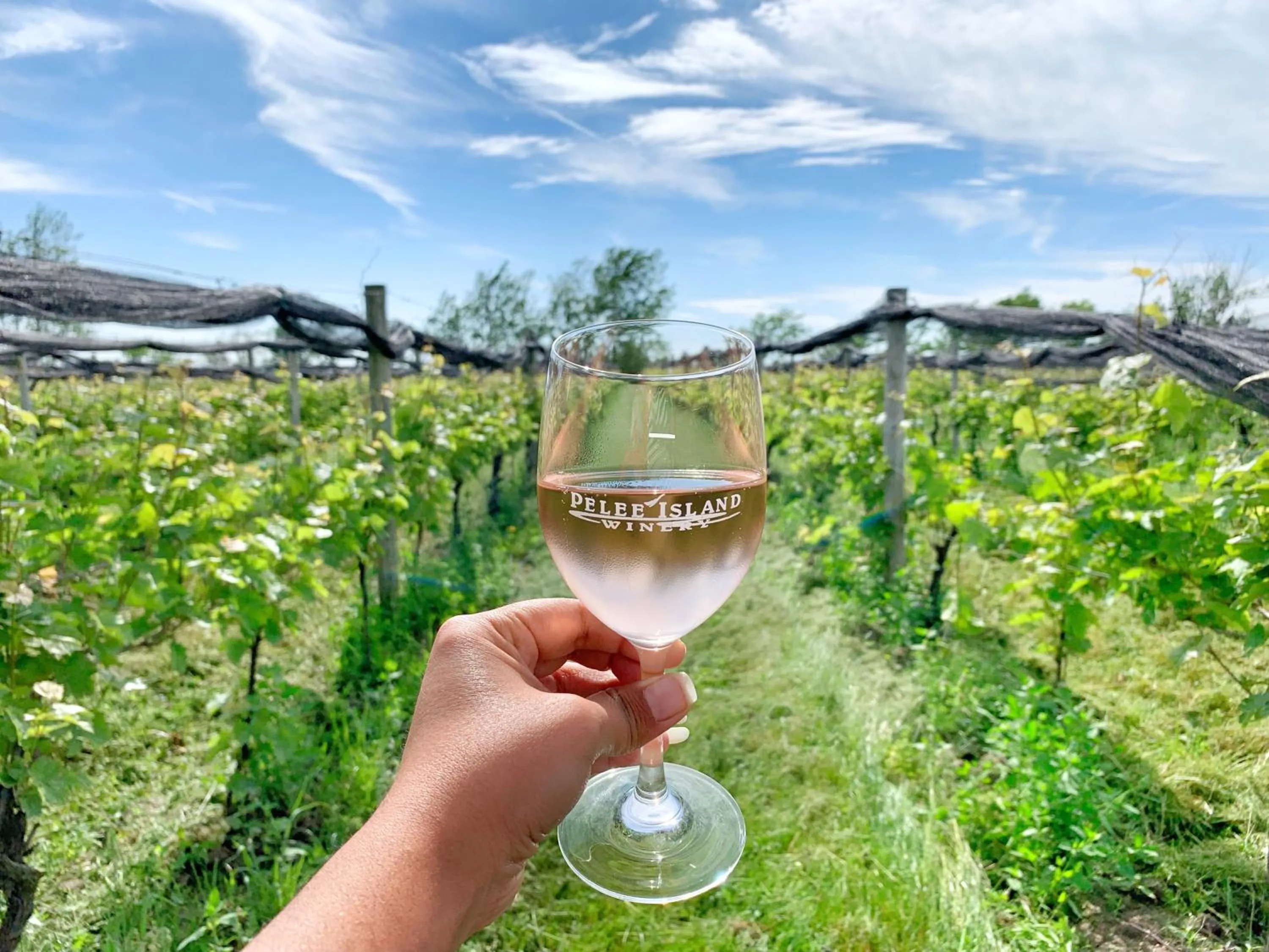 Nearby landmark in Coastal Suite #1 Cozy Suite #2 - Seacliff Beach Suites