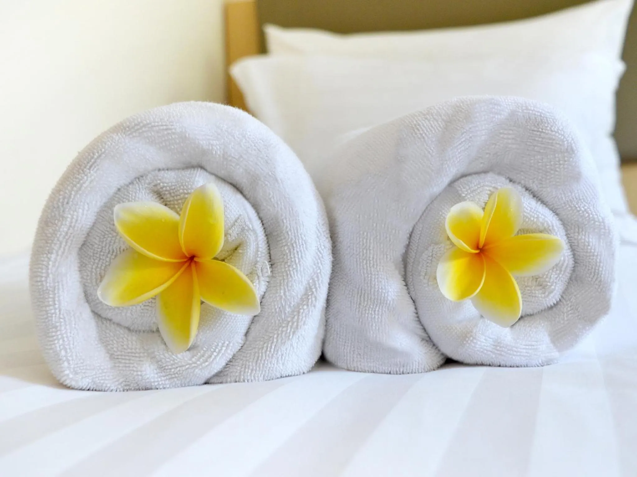 Bed in d'primahotel Medan