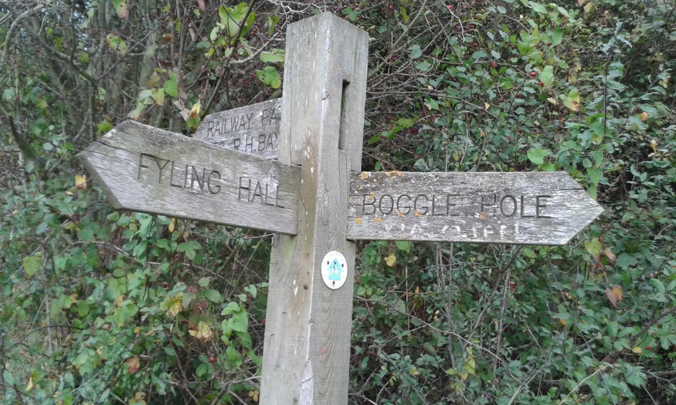 Area and facilities in Thorpe Green House Vegetarian Bed & Breakfast