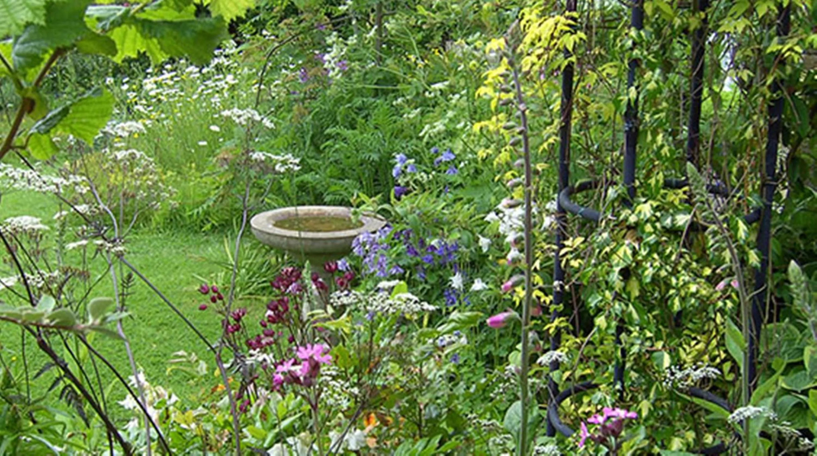 Garden in Thorpe Green House Vegetarian Bed & Breakfast