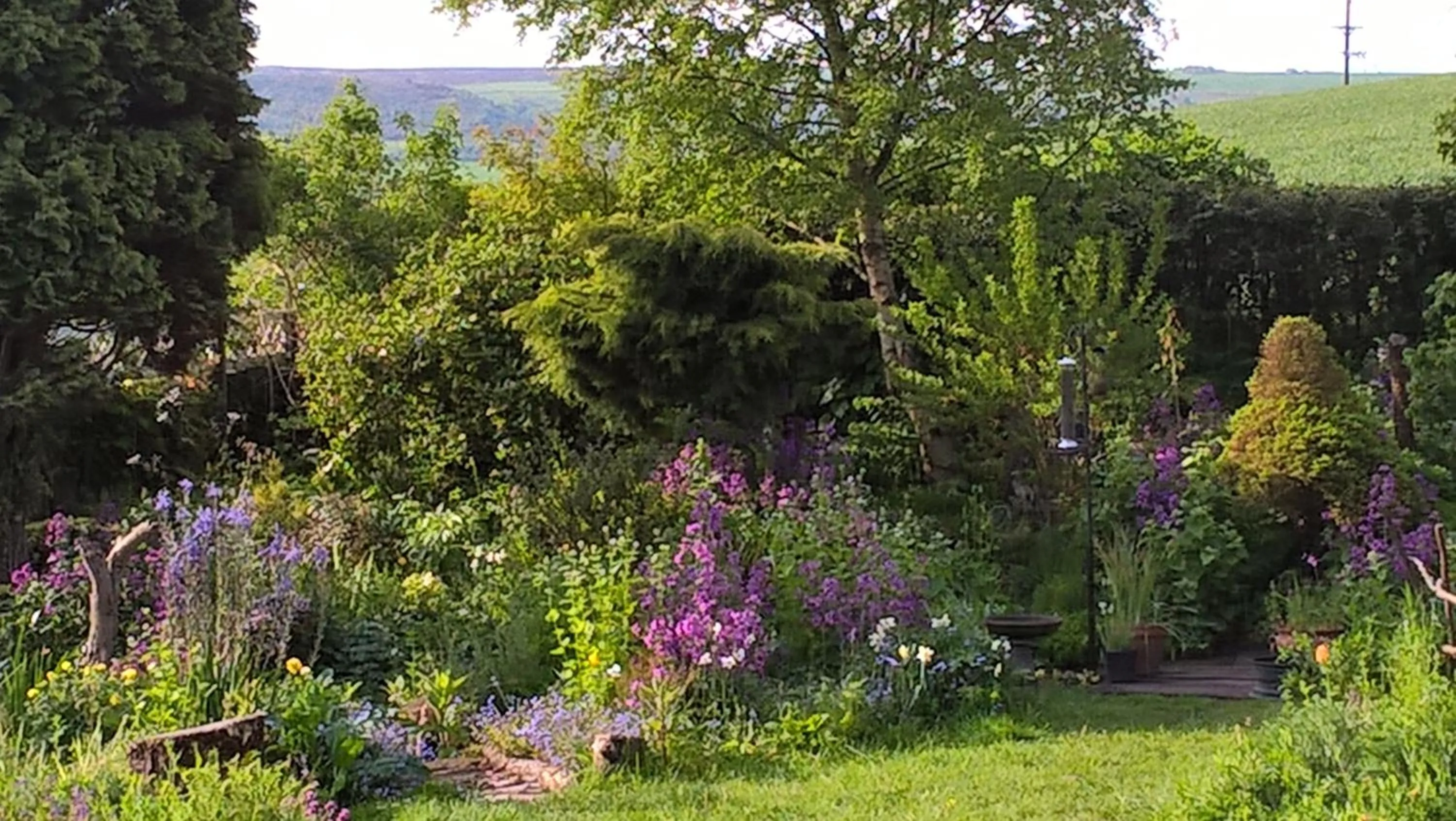 Garden in Thorpe Green House Vegetarian Bed & Breakfast