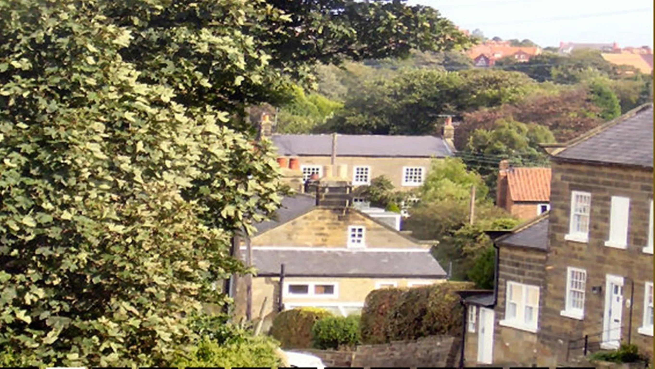 Area and facilities in Thorpe Green House Vegetarian Bed & Breakfast