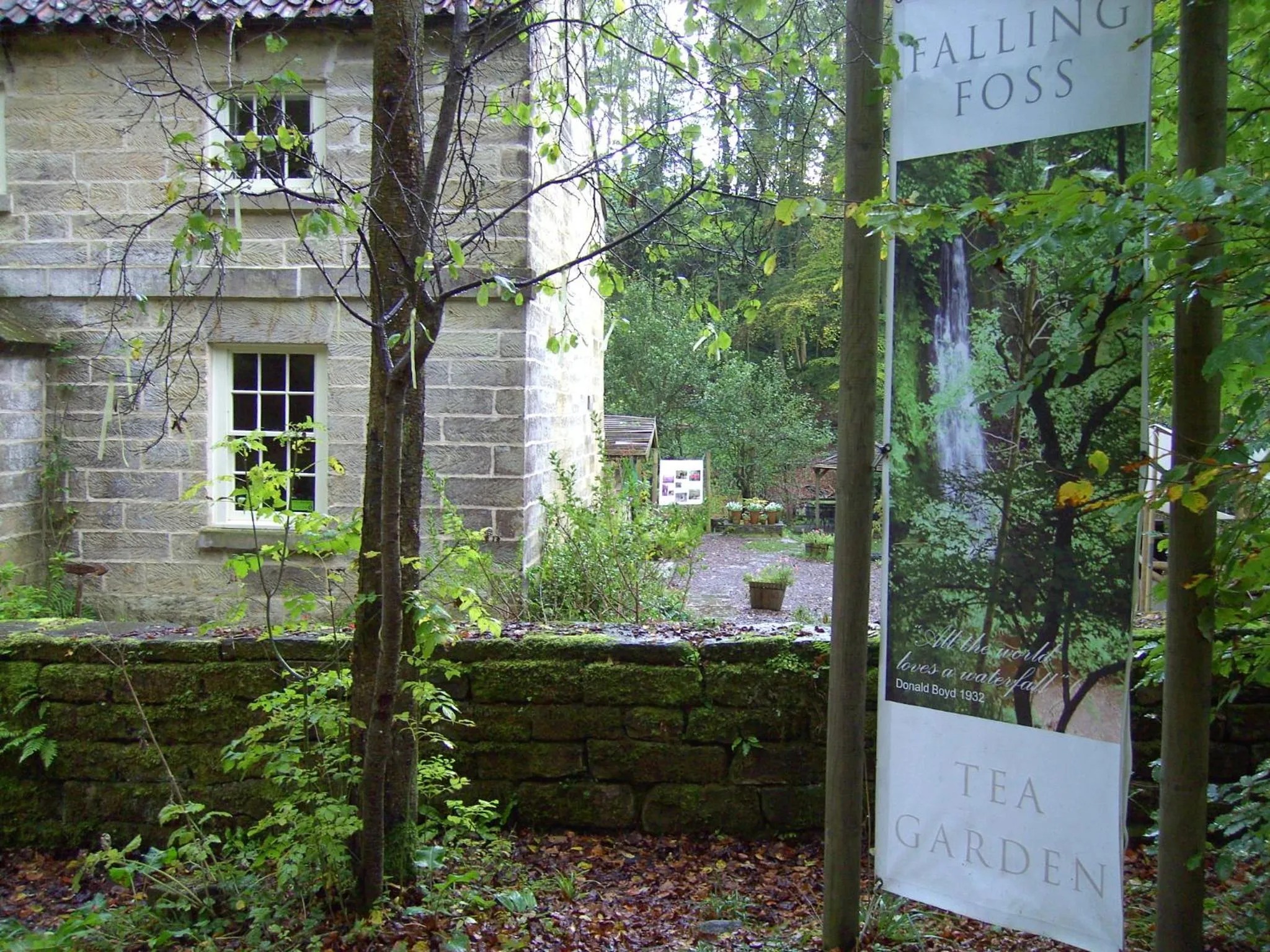 Area and facilities in Thorpe Green House Vegetarian Bed & Breakfast