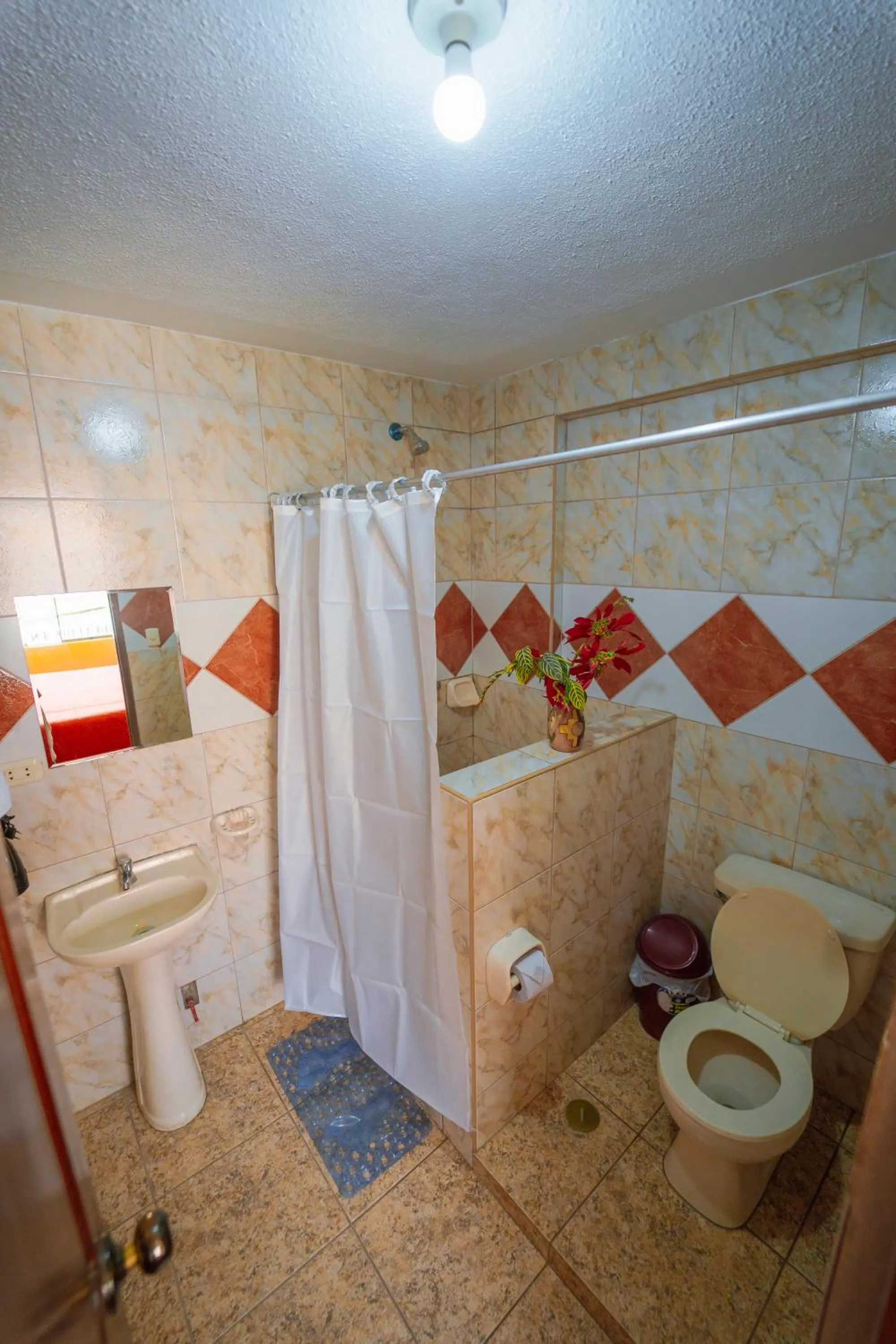 Yacumama Santa Teresa