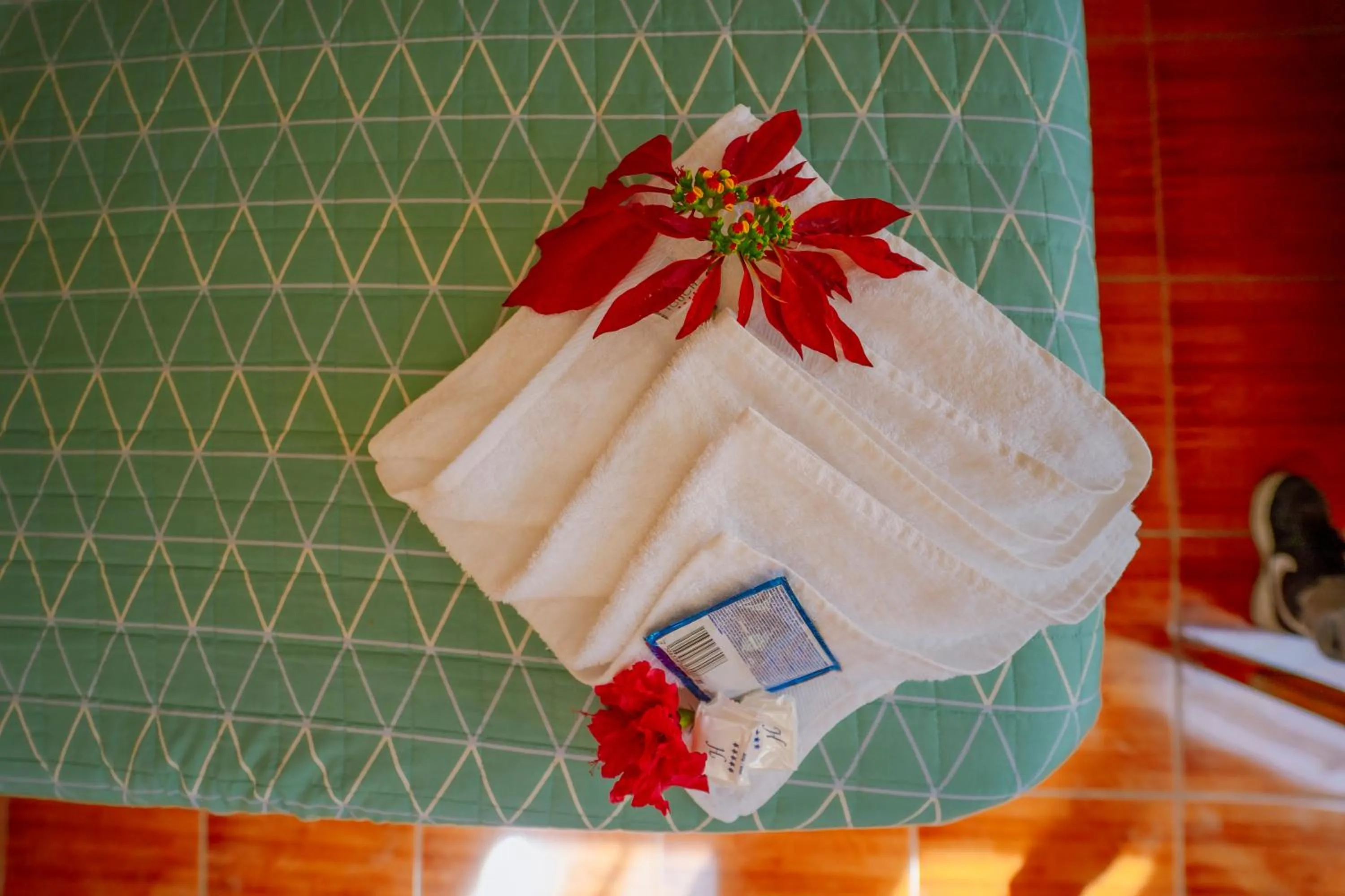 Yacumama Santa Teresa