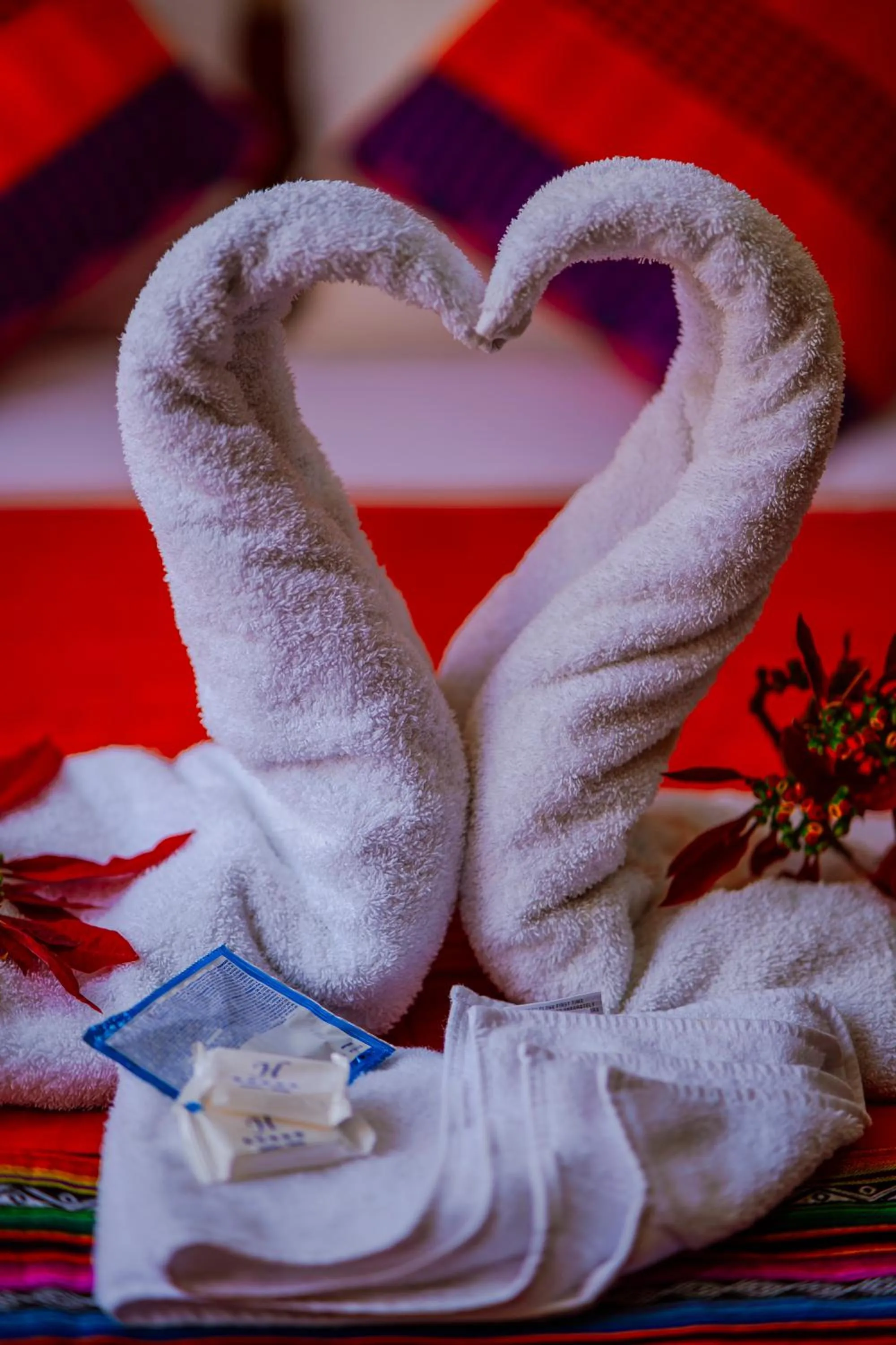 Yacumama Santa Teresa