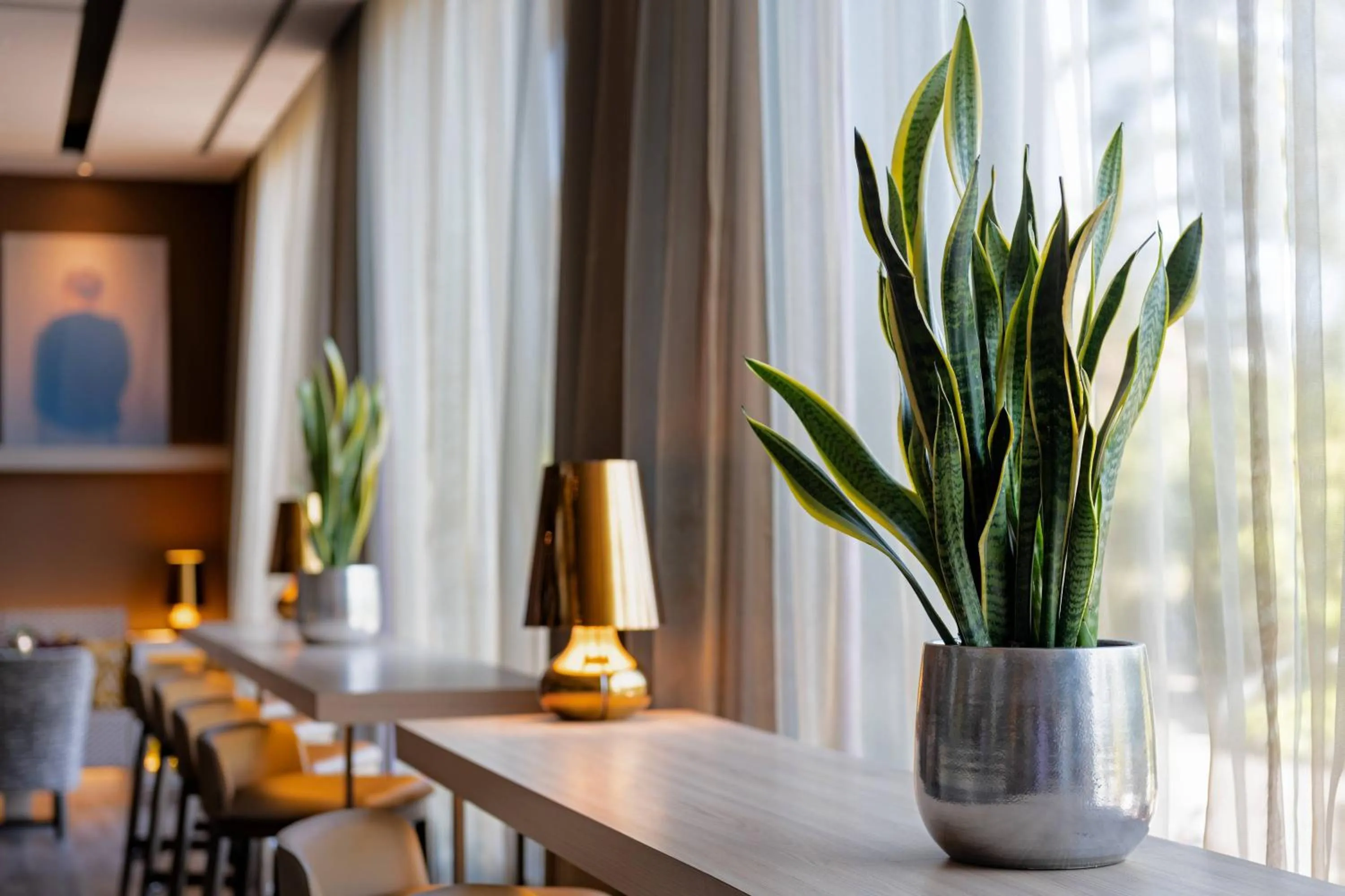 Lounge or bar in AC Hotel Málaga Palacio by Marriott