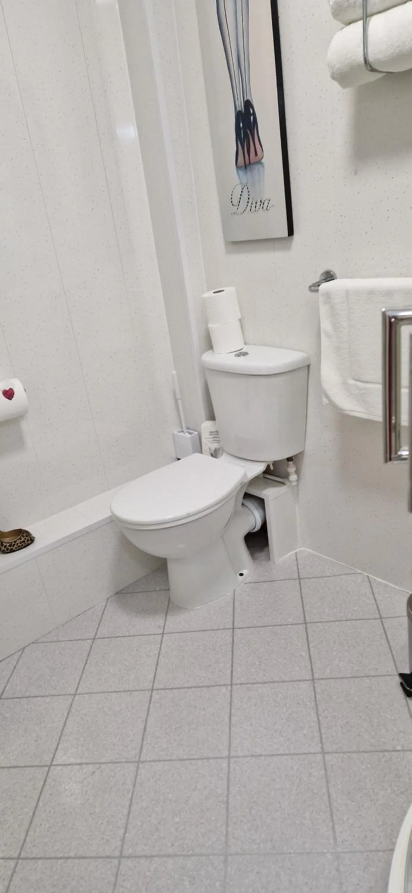 Toilet in The Dudley Hotel