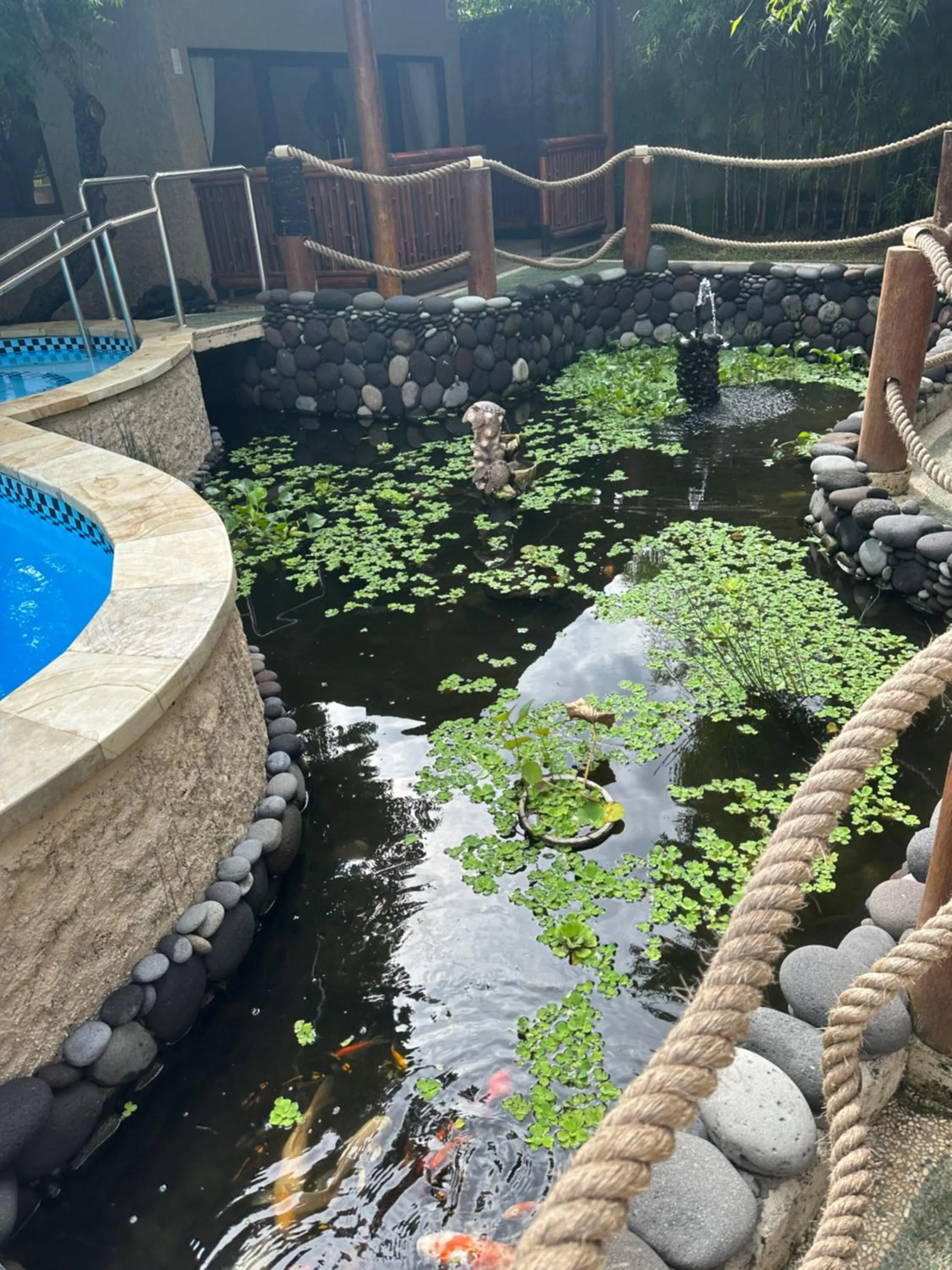 Property building in Lunar Dive Resort: Bamboo Villas