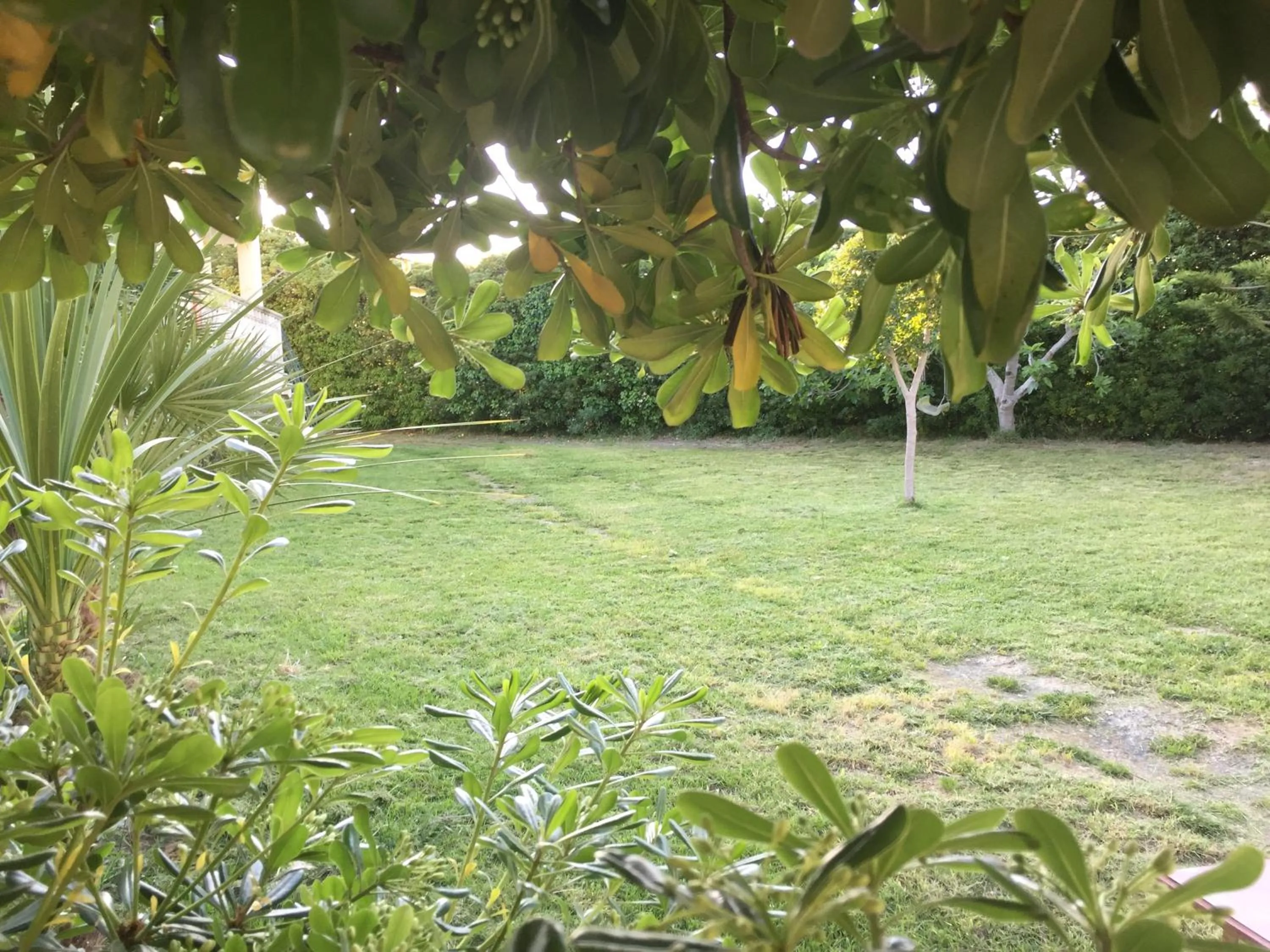 Garden view in B&B Villa Striari