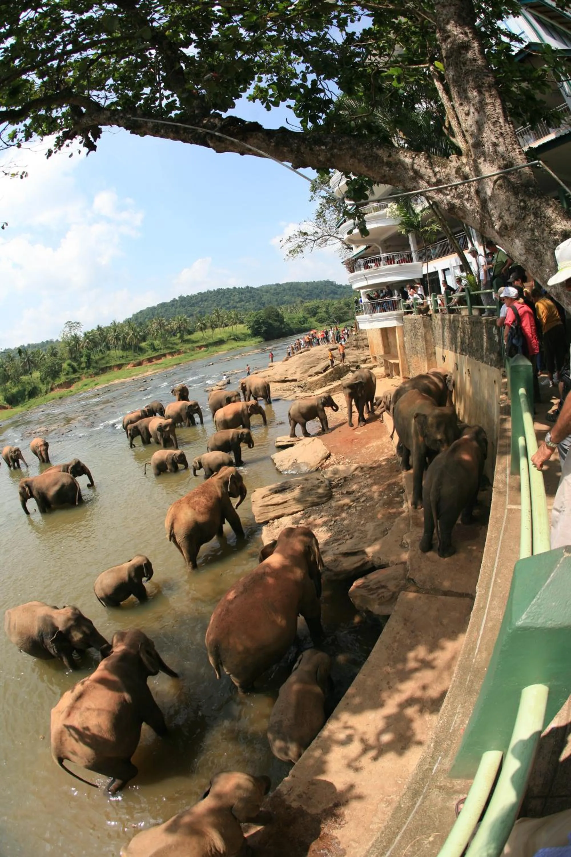 View (from property/room) in Hotel Pinnalanda - NEW DEAL! Exclusive Offers on Pickups Available!