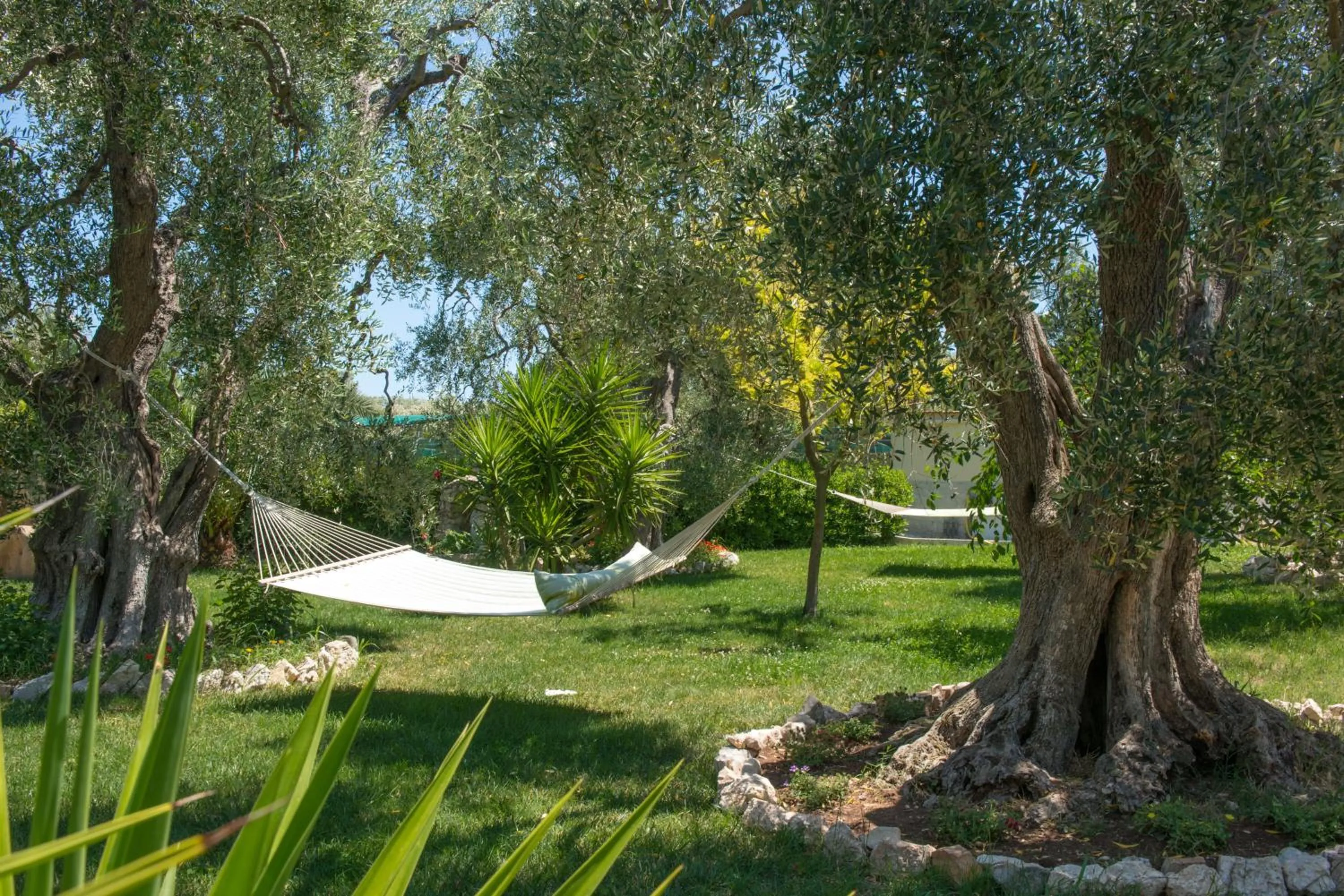 Natural landscape in Villa Fenice Bed & Breakfast