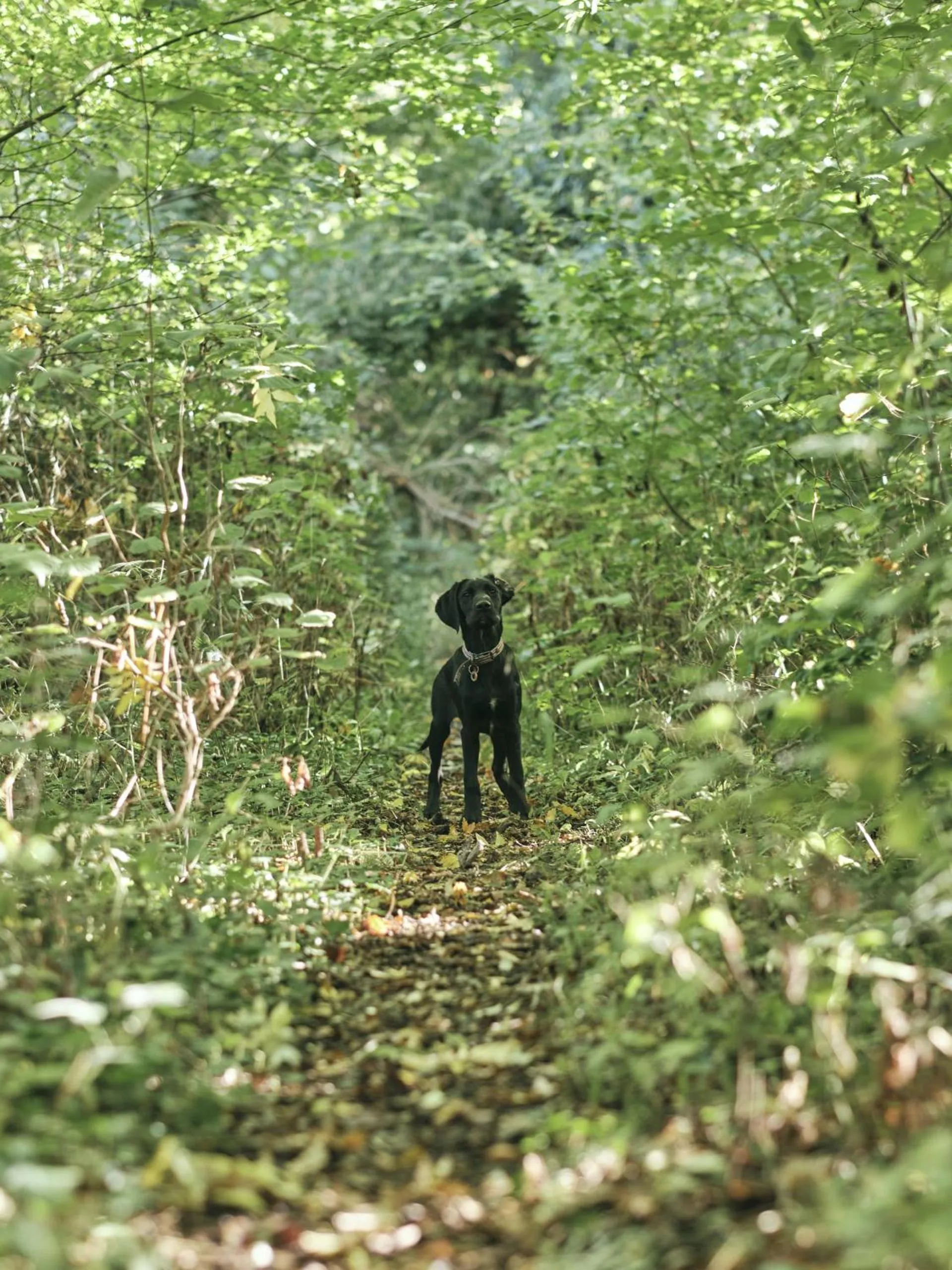 Neighbourhood in The Agents House, Bed & Breakfast