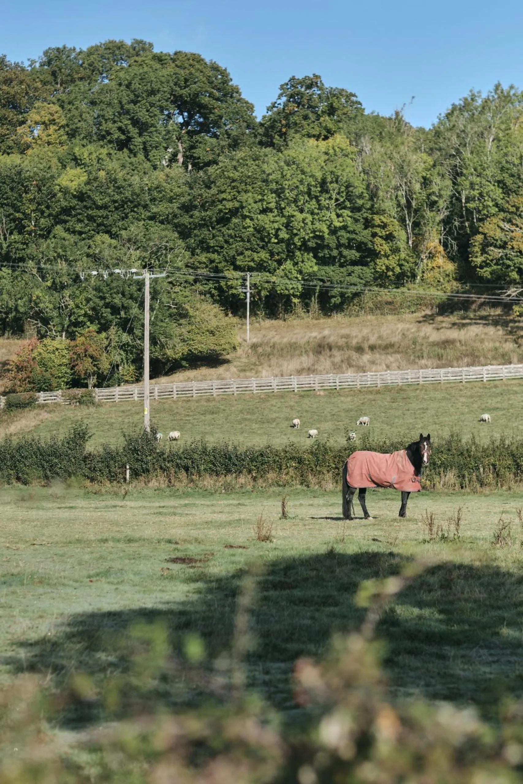 Neighbourhood in The Agents House, Bed & Breakfast