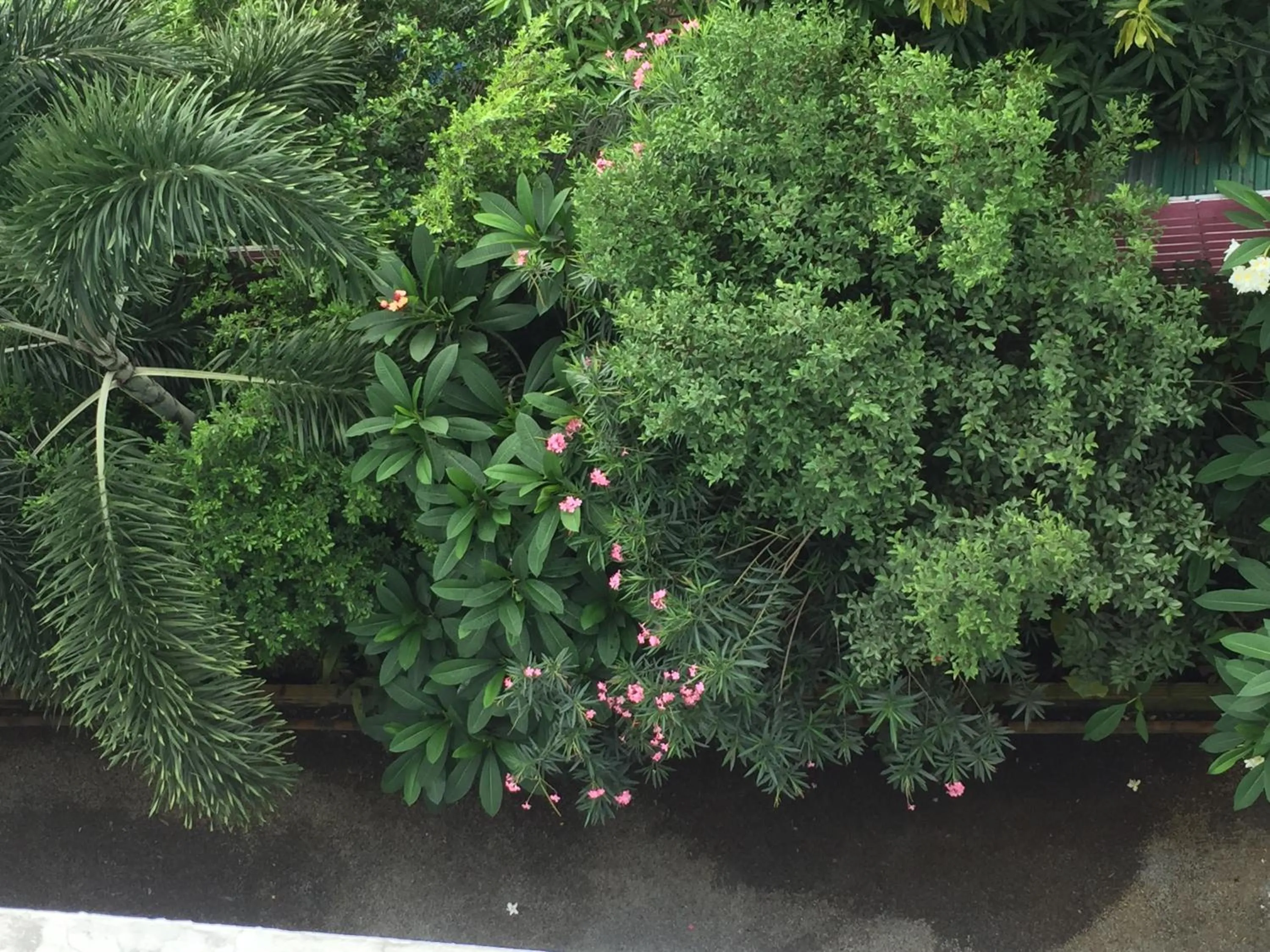 Natural landscape in Nordwind Hotel