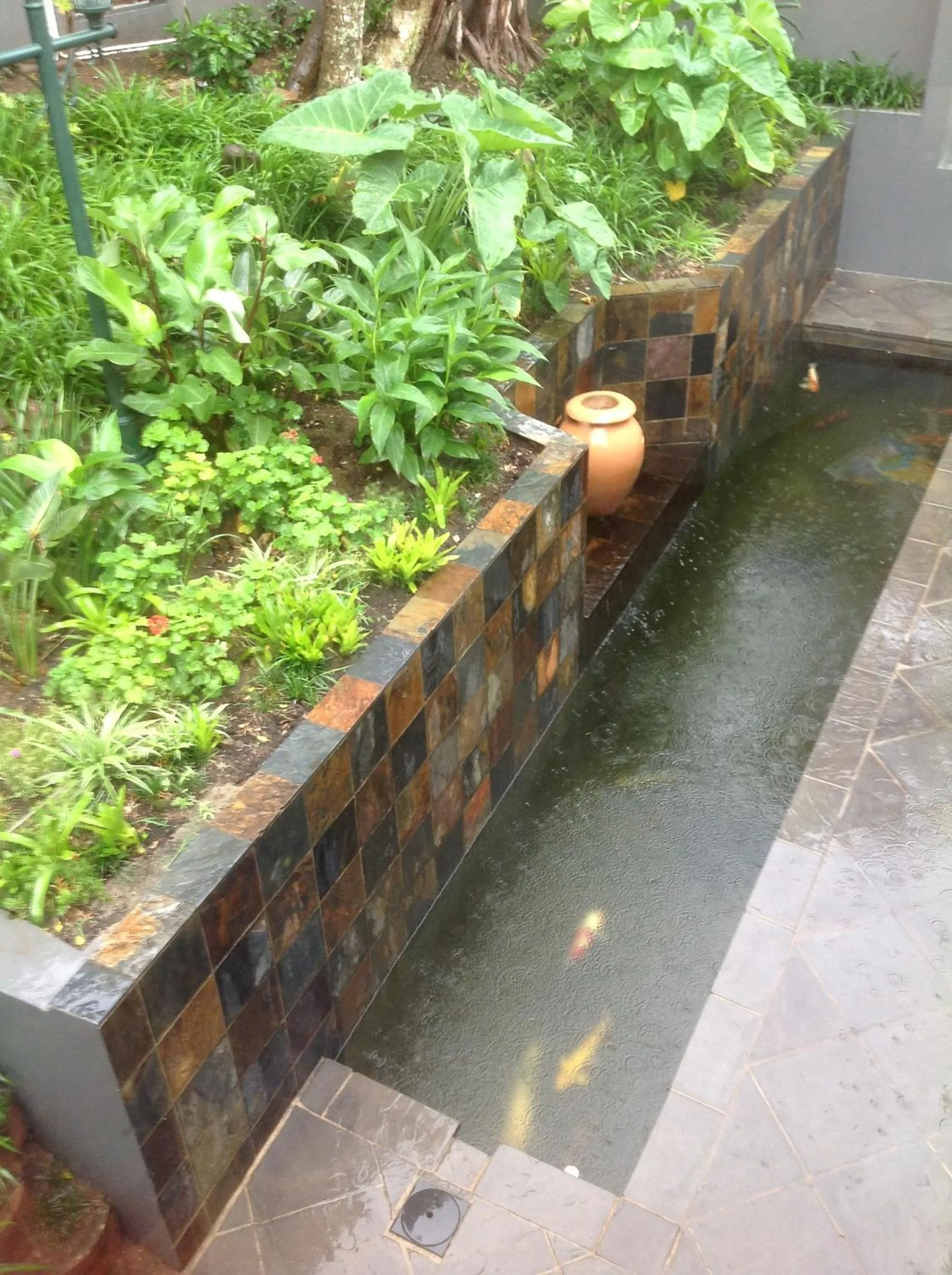 Garden in Burnham House B&B