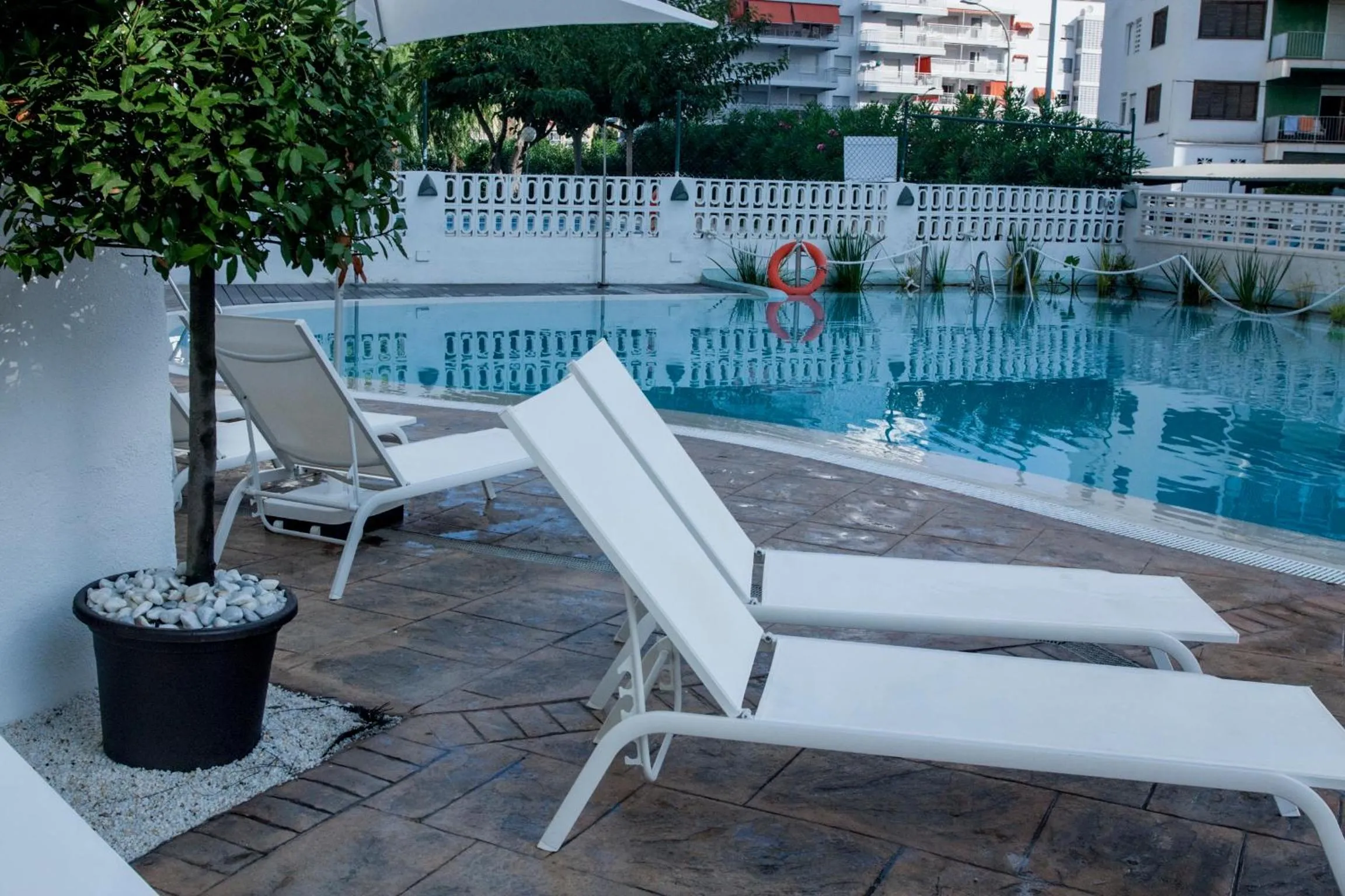 Swimming pool in Villa Luz Design & Art Hotel