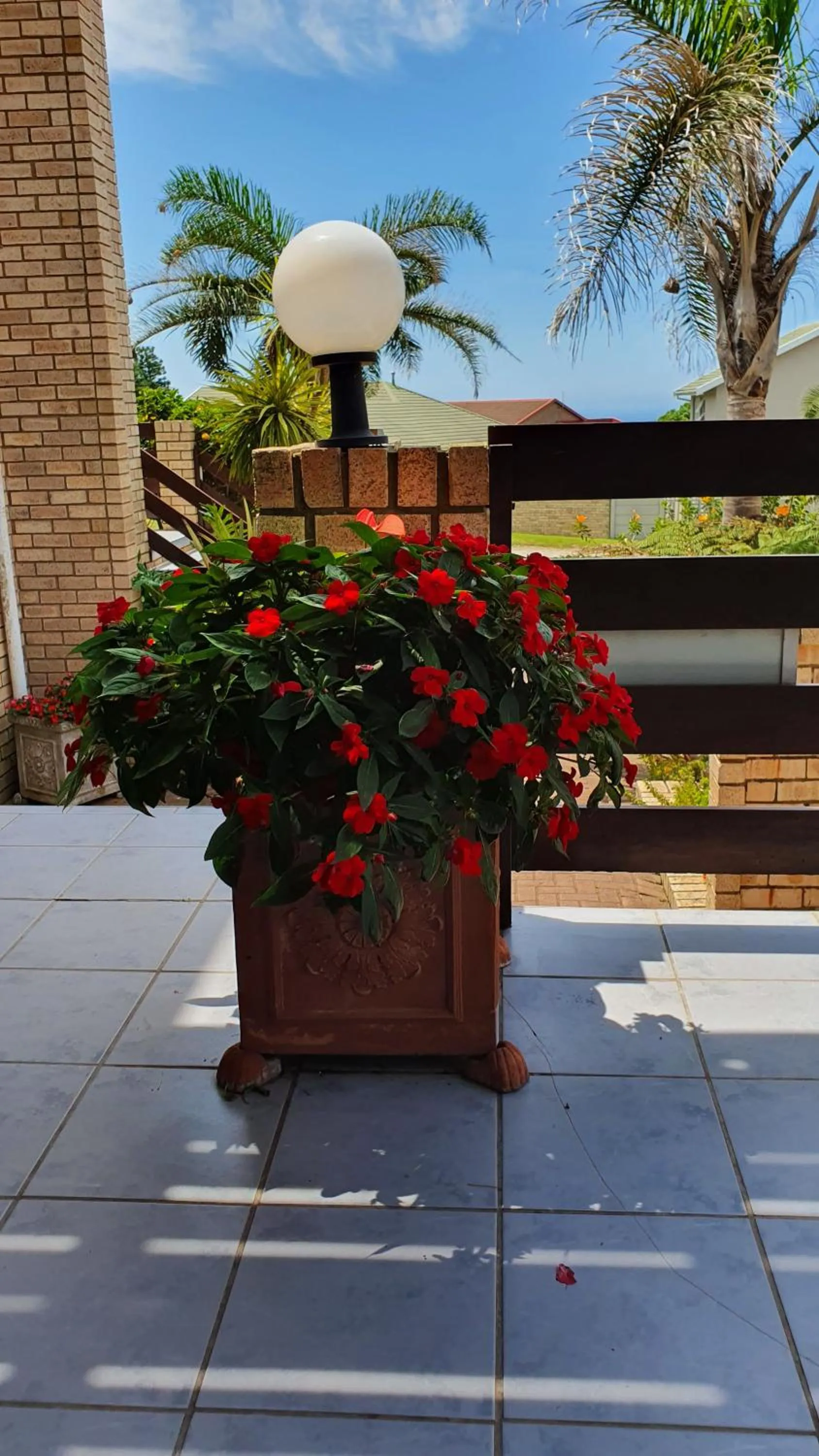 Garden in Villa Majestic for Exclusive Accommodation