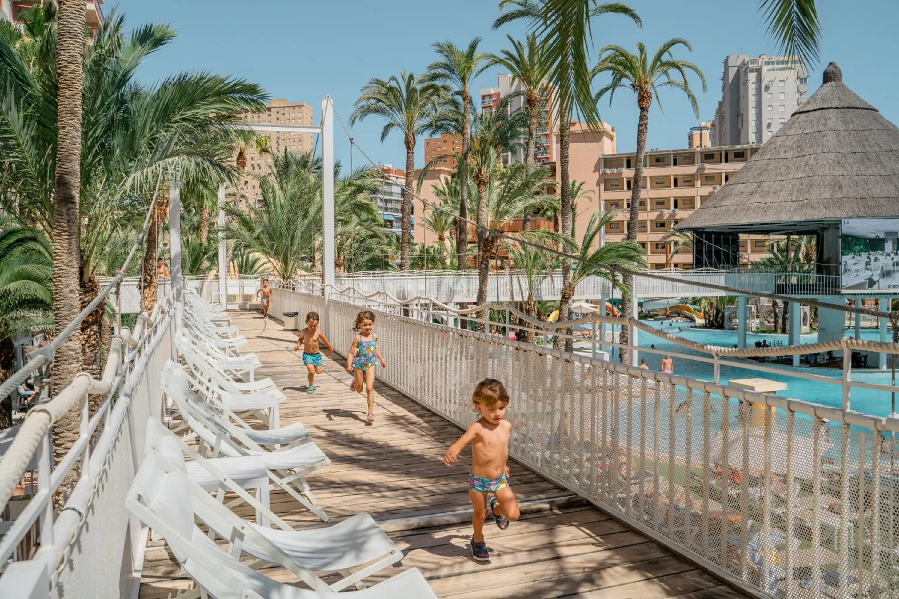 Magic Tropical Splash