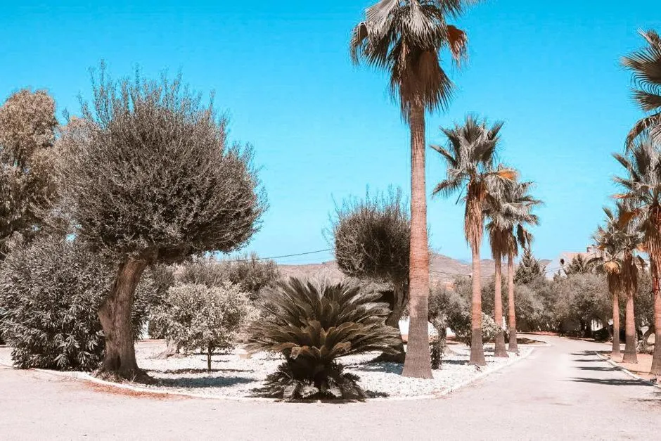 Winter in Finca Besito