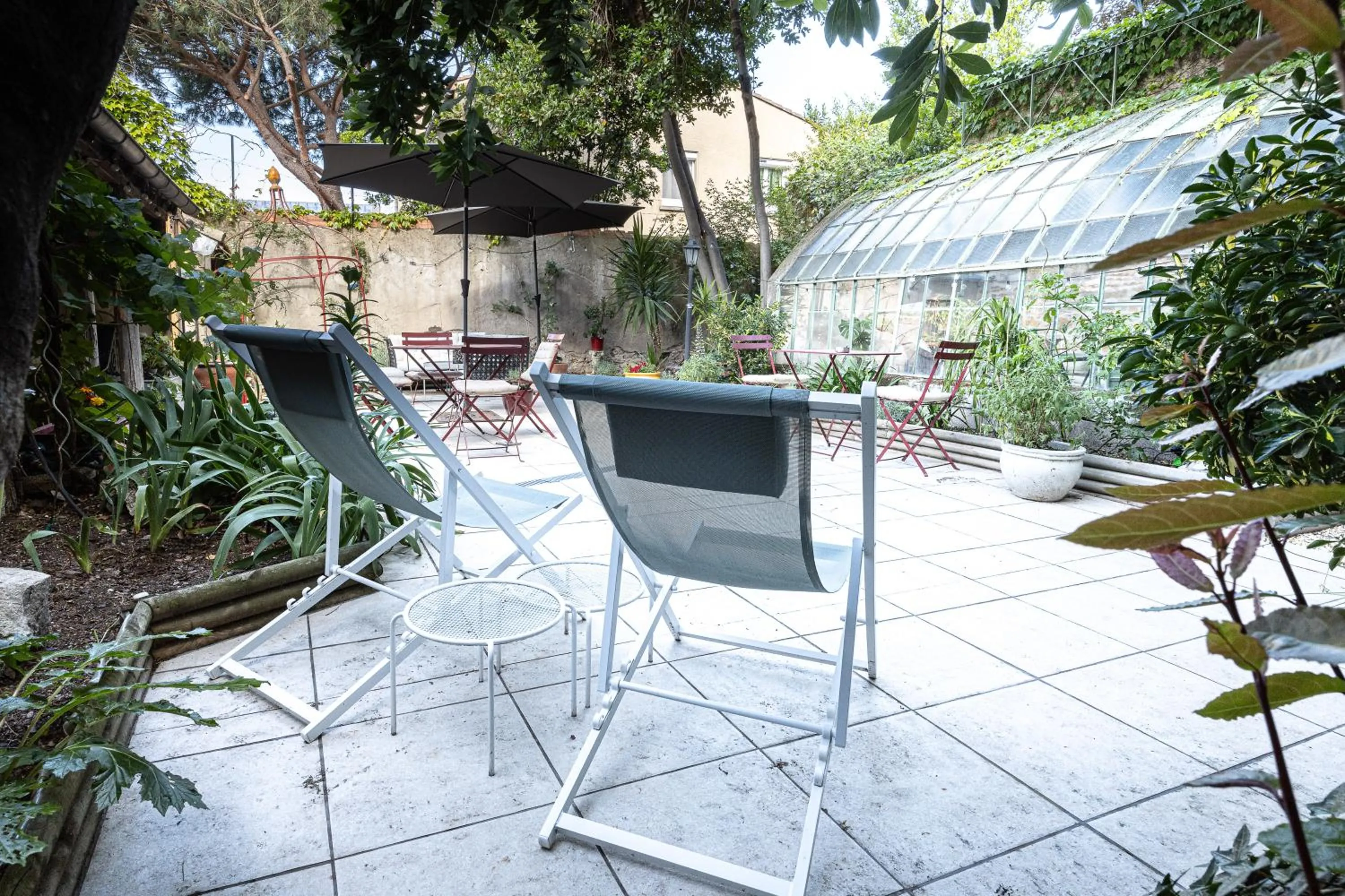 Garden in SalutBB Chambre d'hote