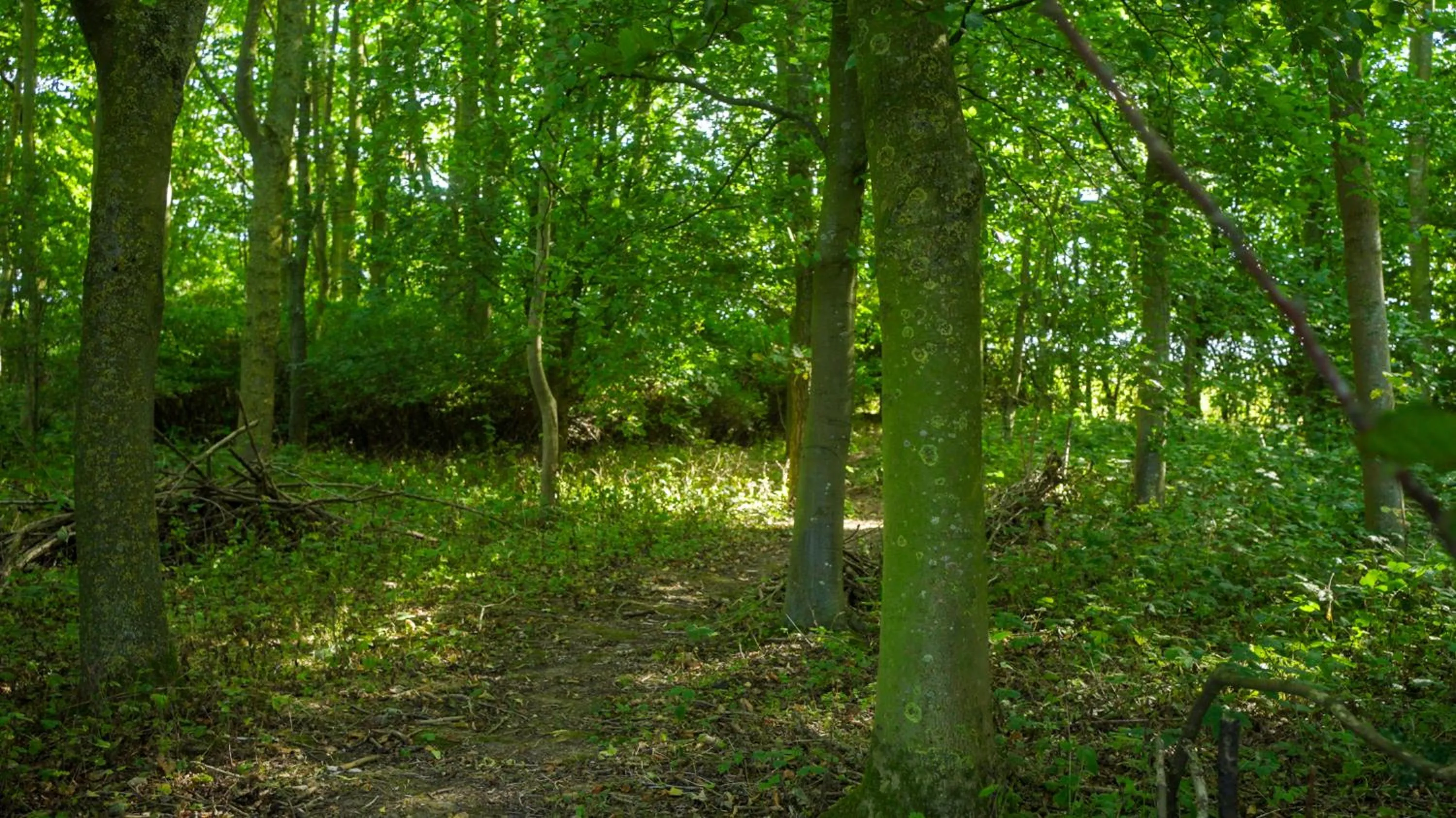 Natural landscape in Wold Escapes, Highfield Farm
