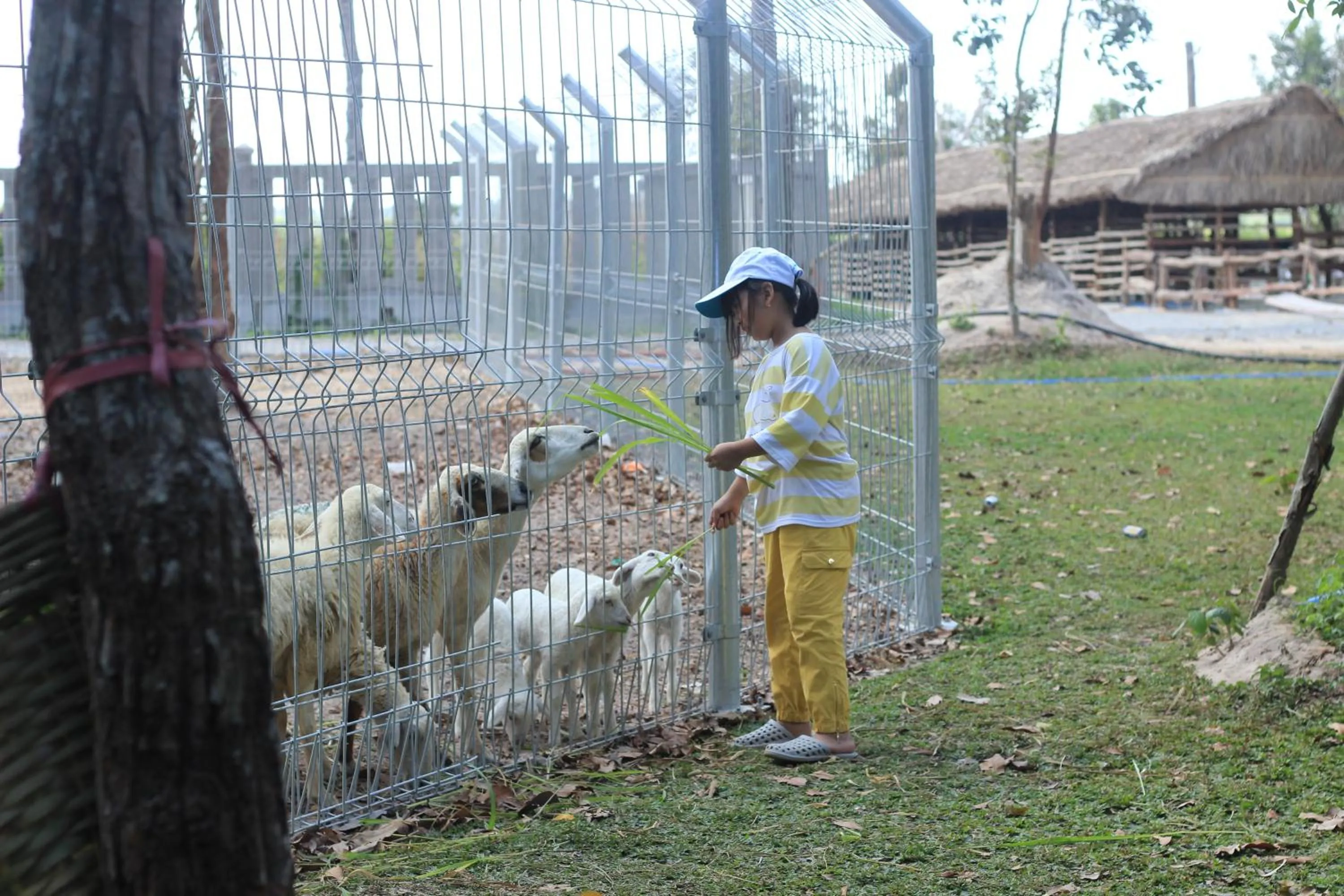 children in Minera Hot Springs Binh Chau