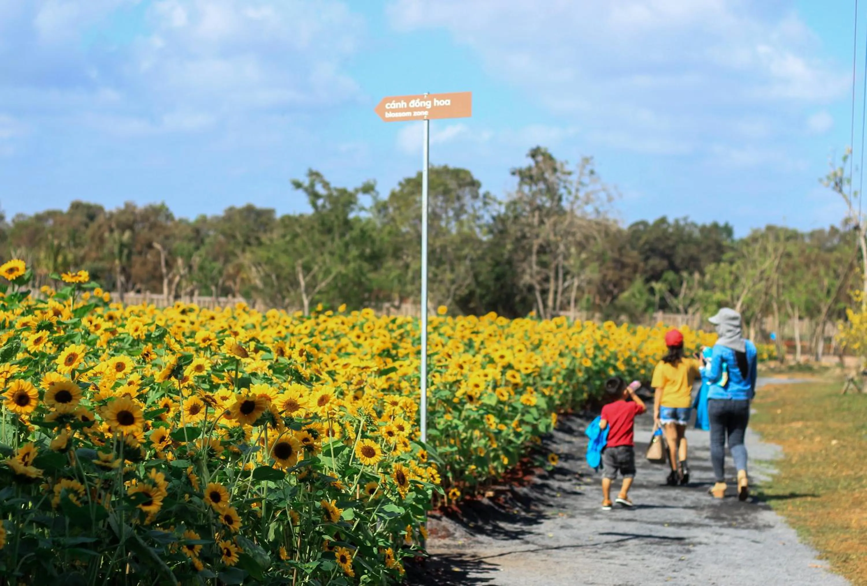 Garden in Minera Hot Springs Binh Chau