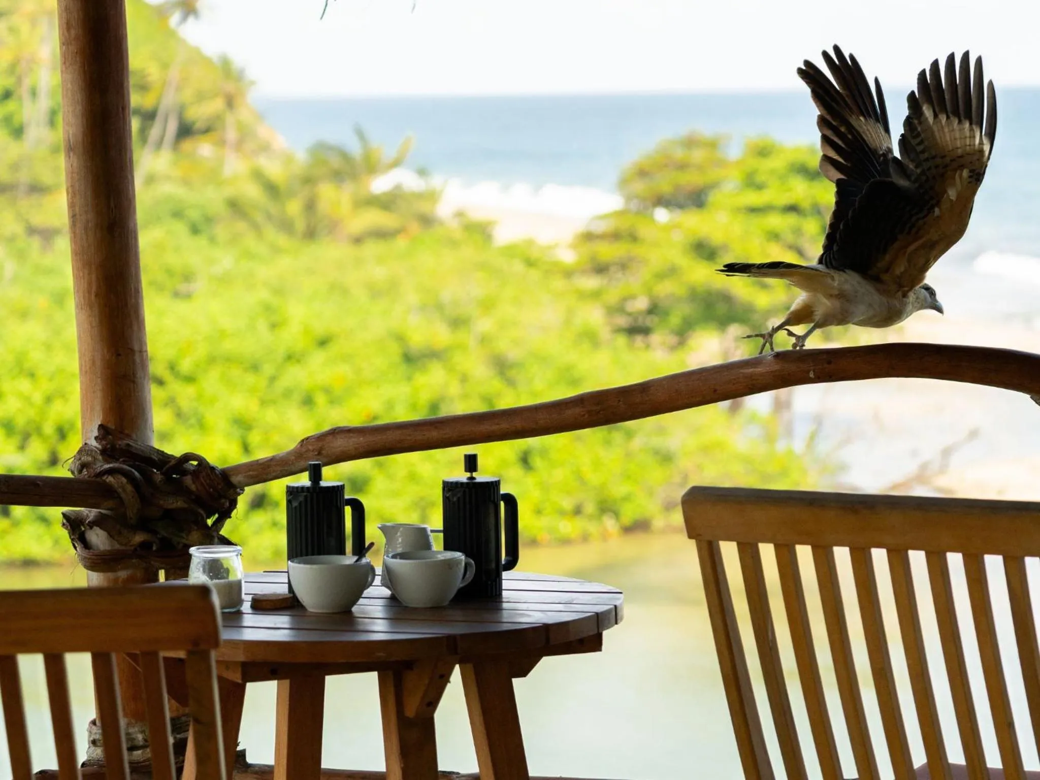 View (from property/room) in Finca Barlovento Maloka, Tayrona