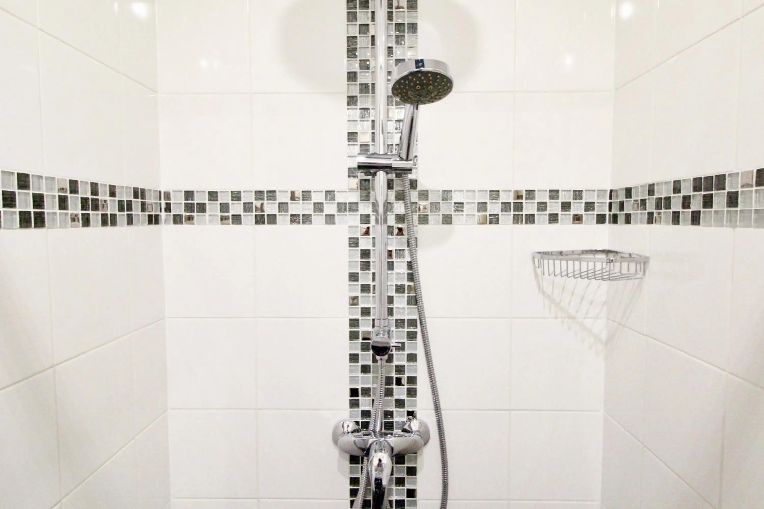 Shower in Hotel des Pyrénées