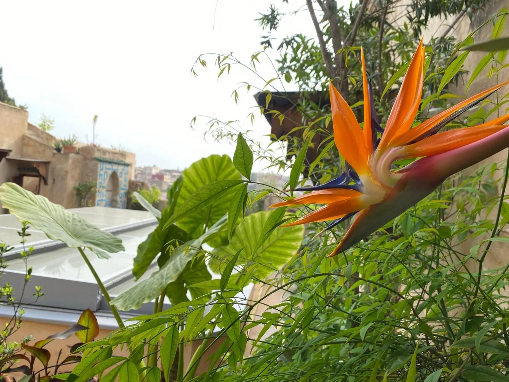 Patio in Dar 7 Louyat