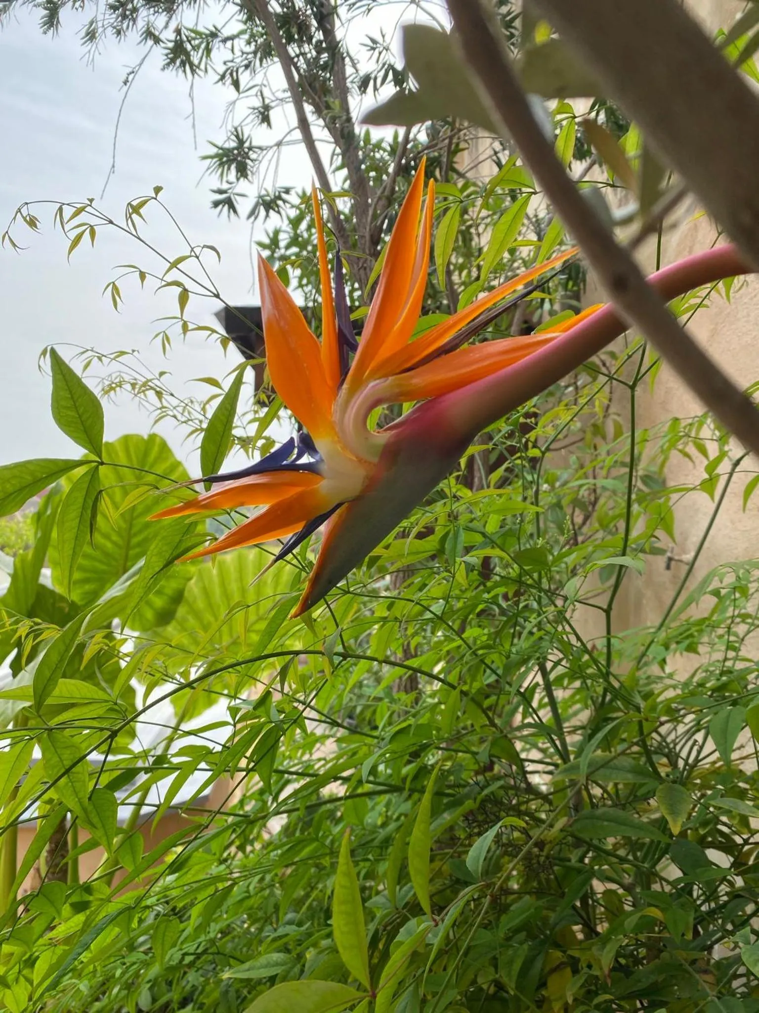 Patio in Dar 7 Louyat