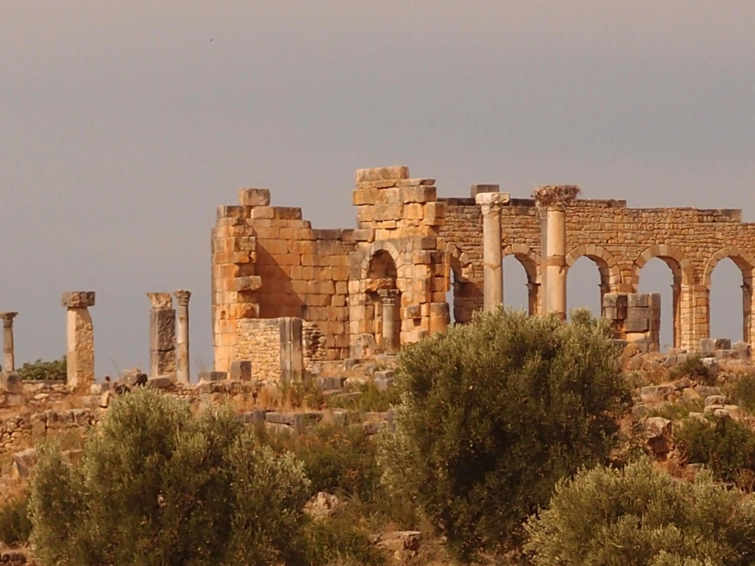 Area and facilities in Dar 7 Louyat