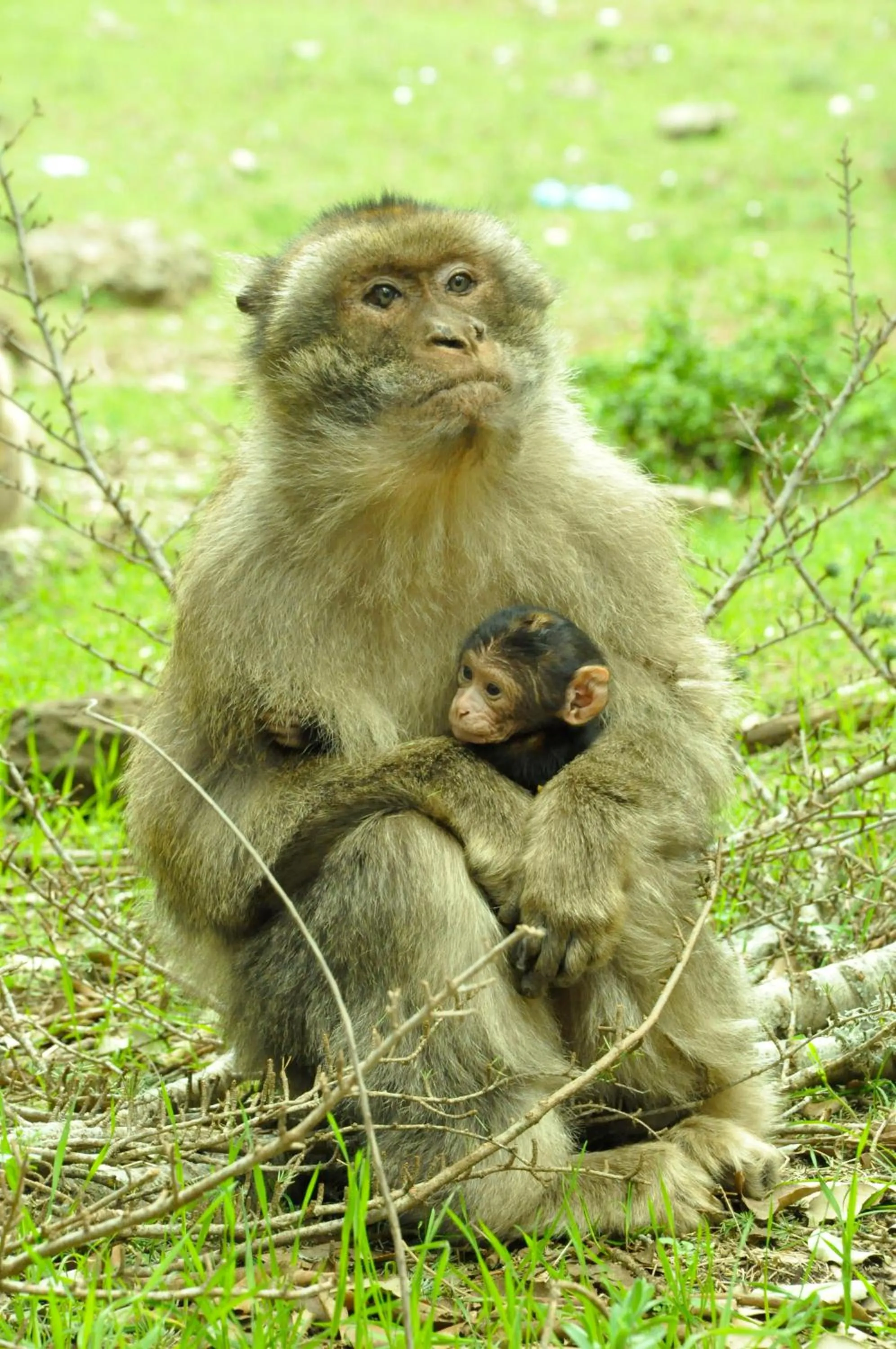 Hiking in Dar 7 Louyat