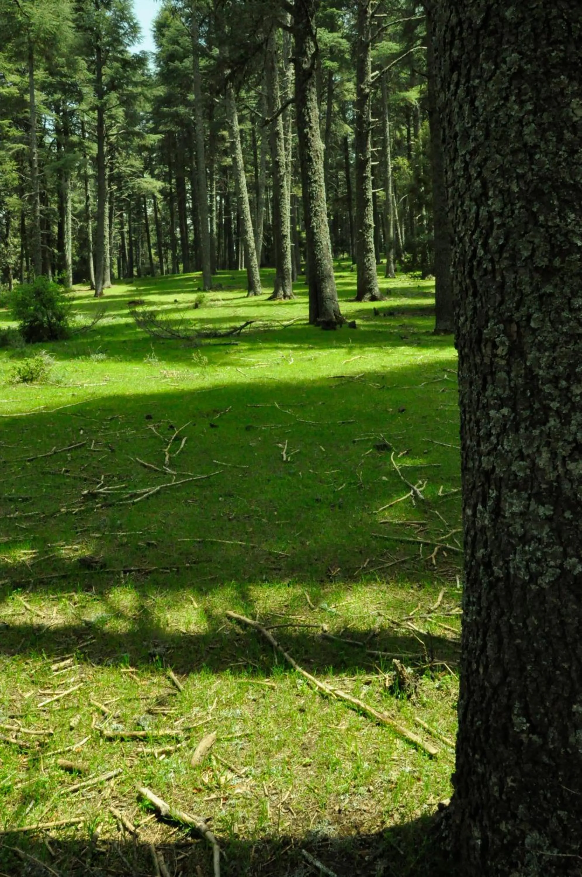 Hiking in Dar 7 Louyat