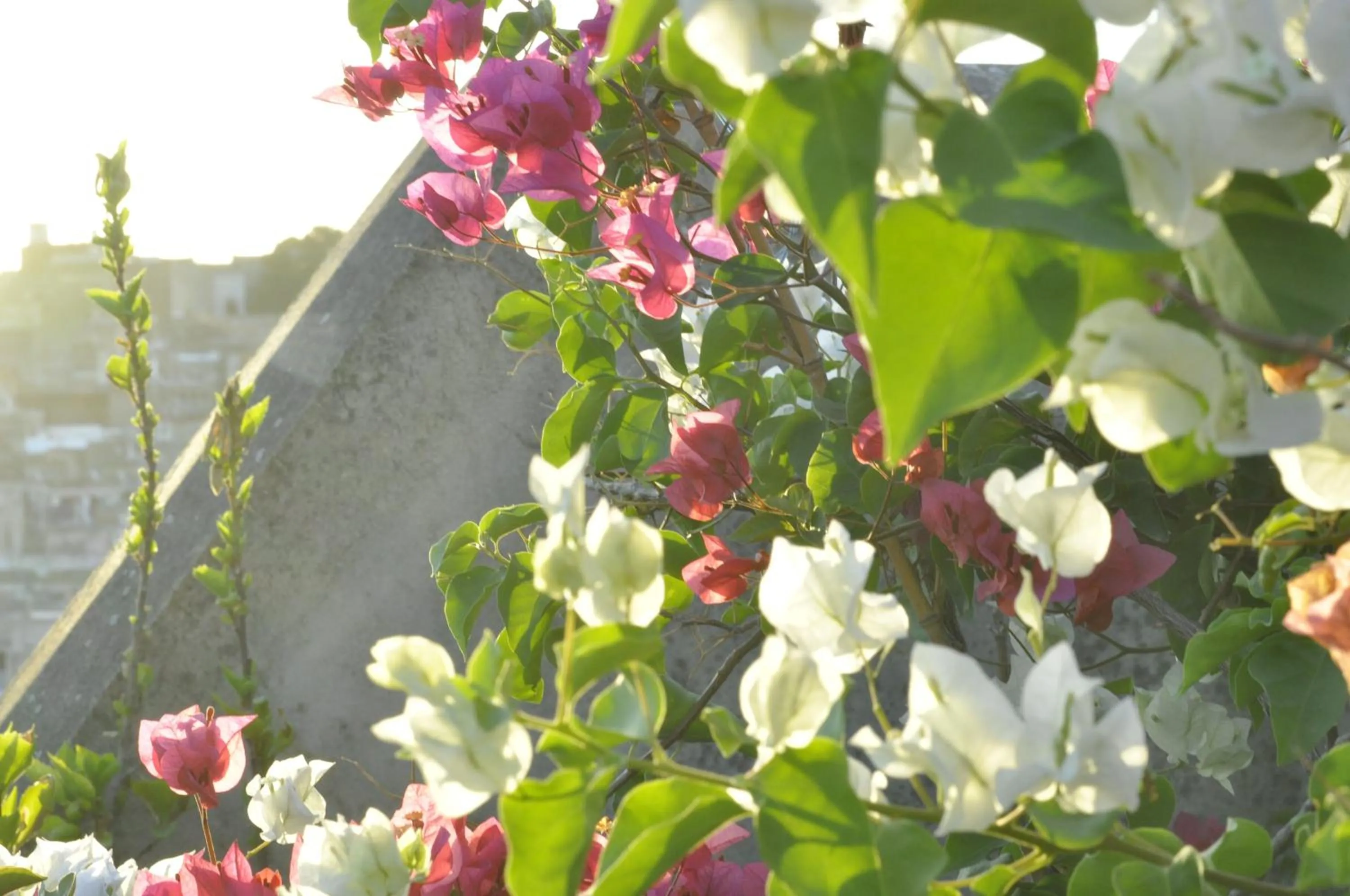 Balcony/Terrace in Dar 7 Louyat