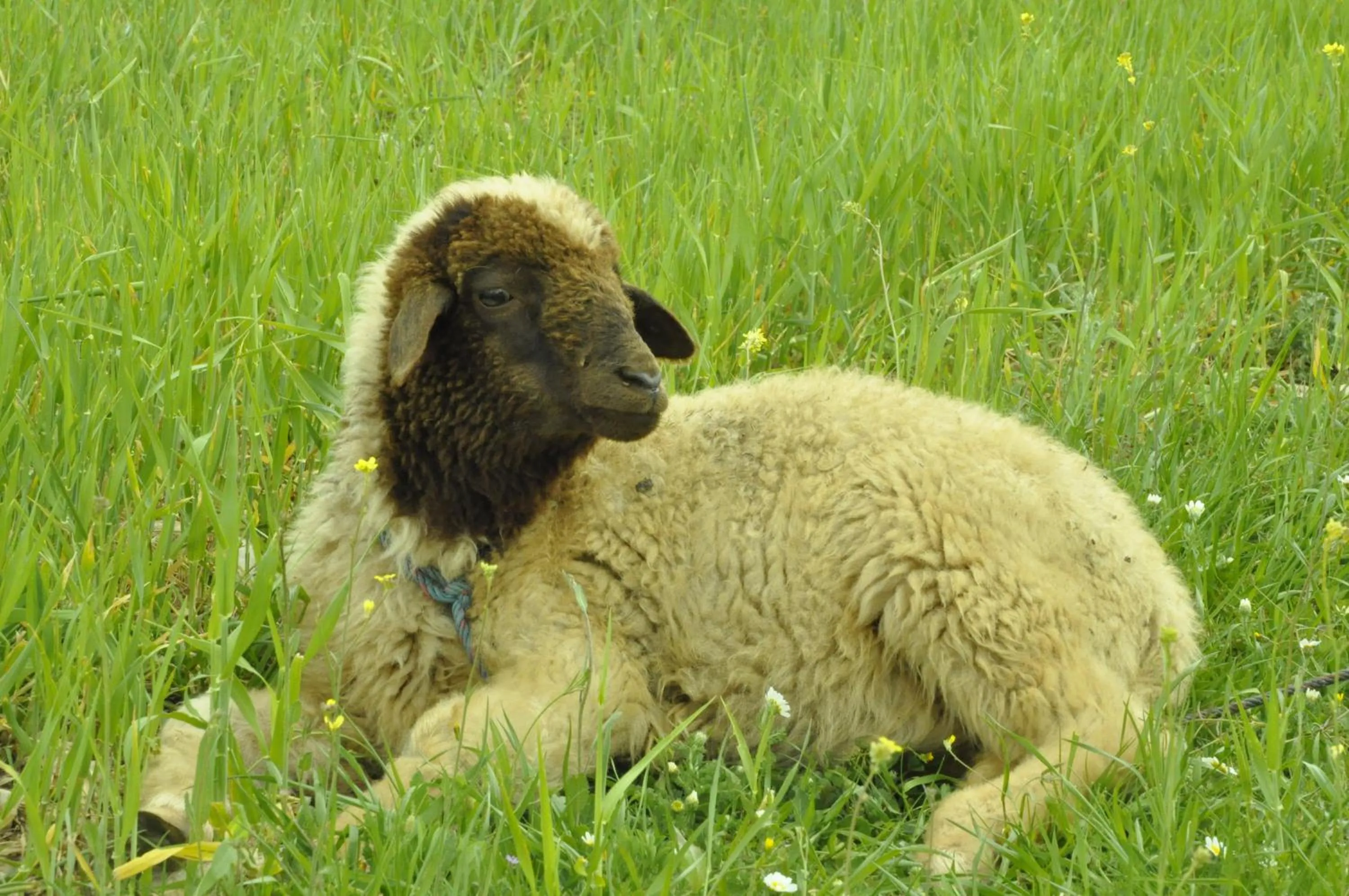 Hiking in Dar 7 Louyat