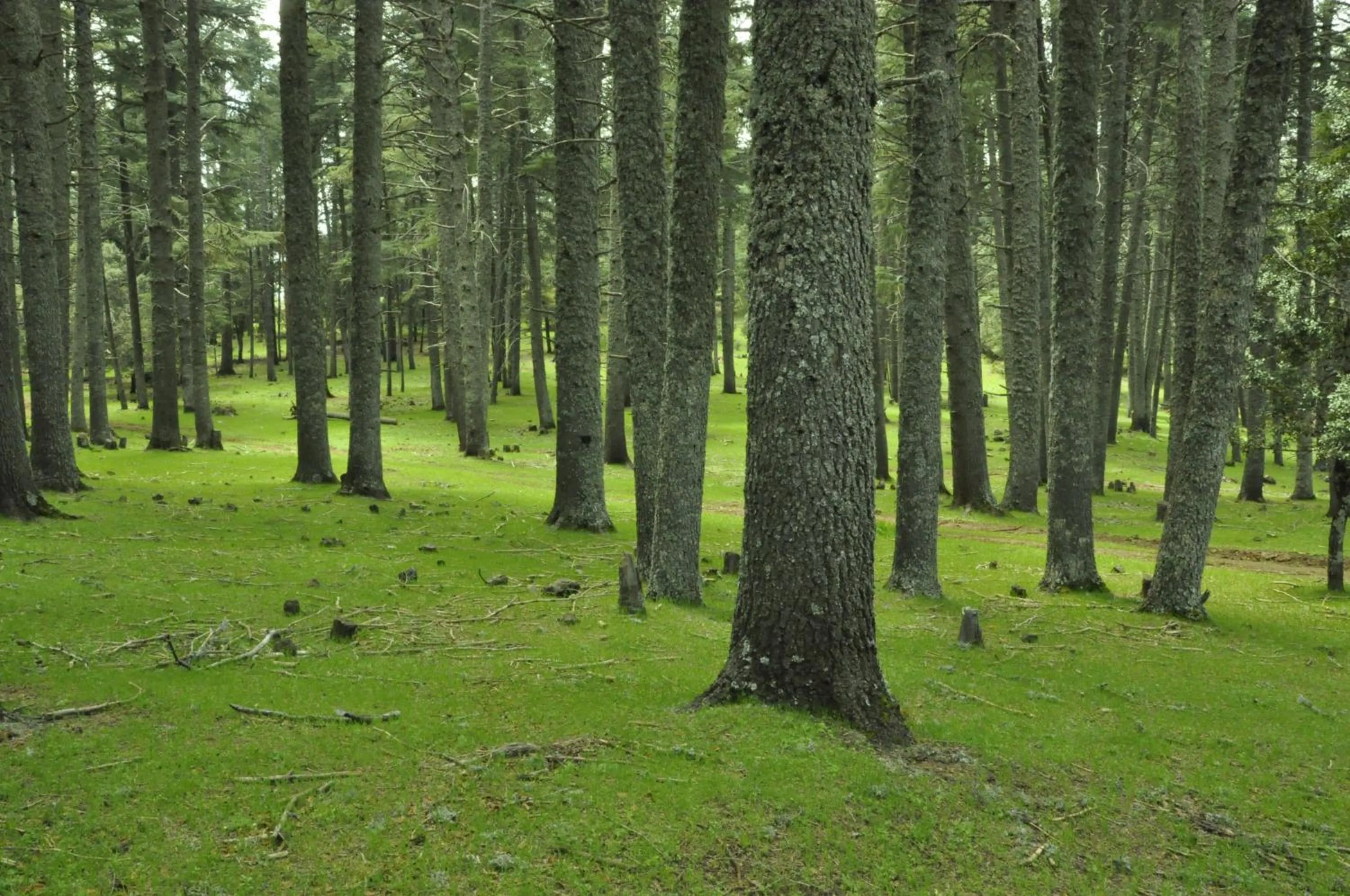 Hiking in Dar 7 Louyat