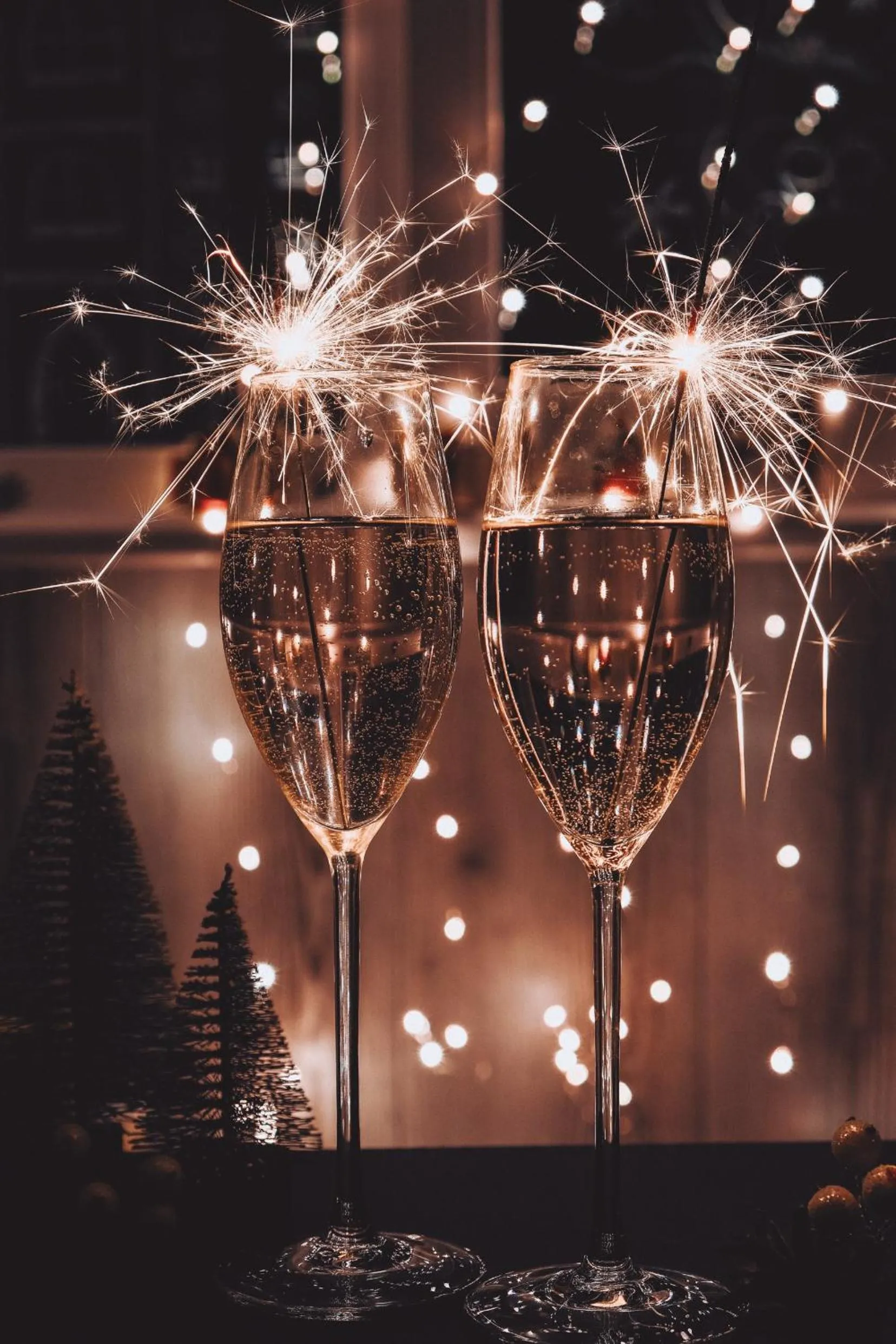 Dinner in Gran Hotel Los Abetos