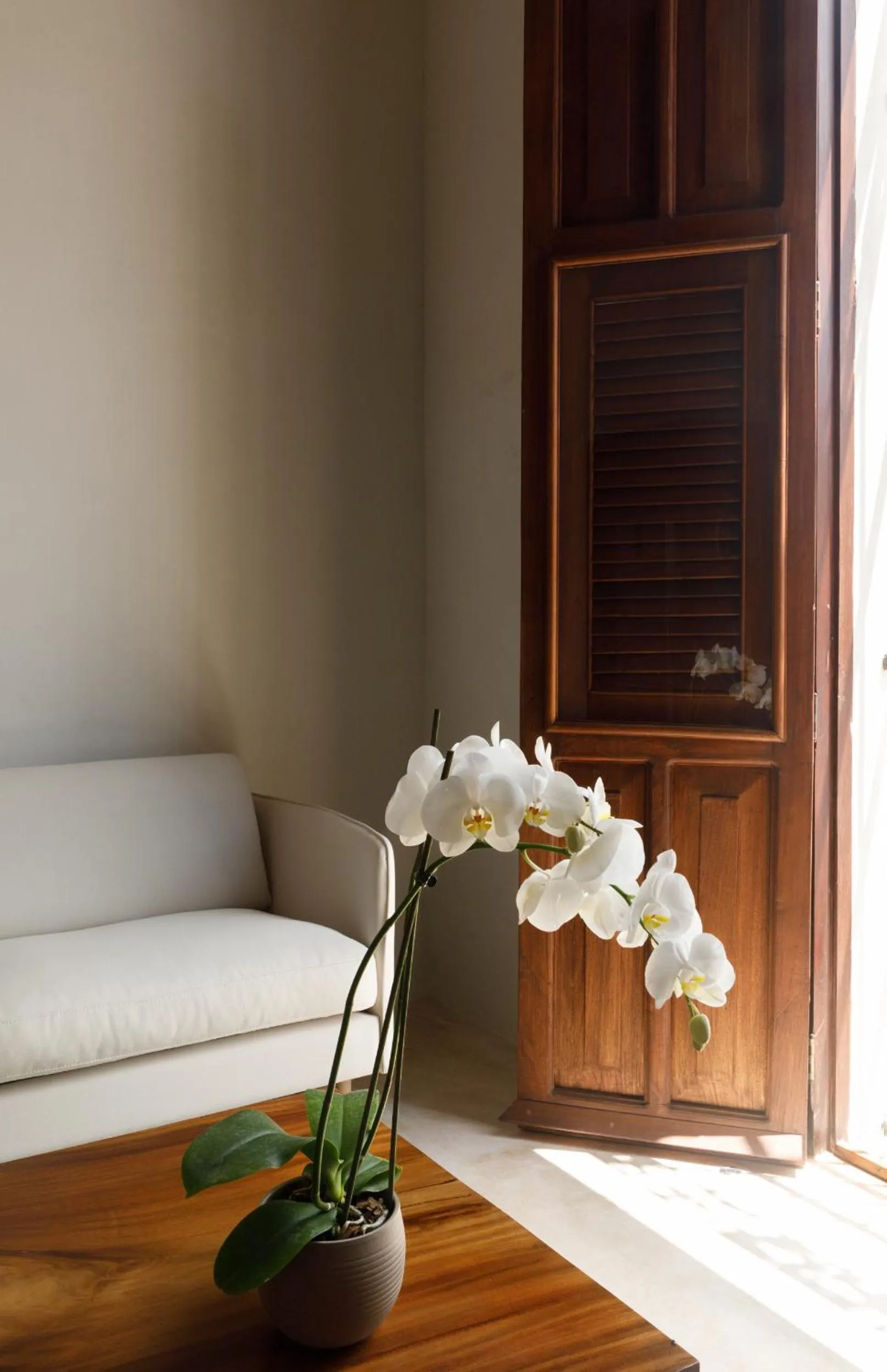 Decorative detail in Las Lupitas Hotel Boutique